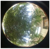 Sustainability 13 00468 i035 Sustainability 13 00468 i035