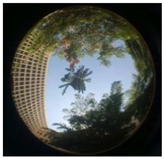 Sustainability 13 00468 i043 Sustainability 13 00468 i043