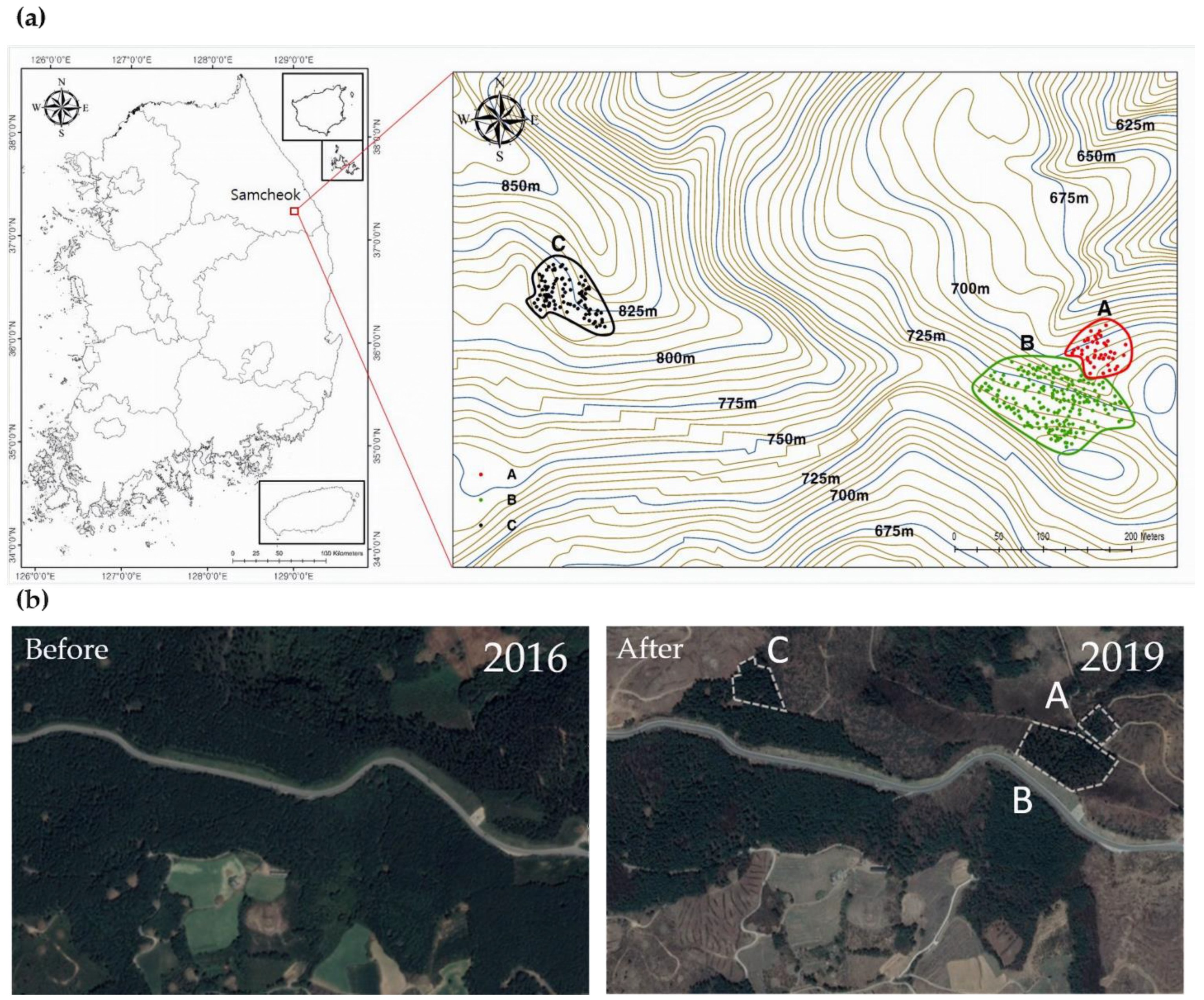 Sustainability 13 00569 g001 Sustainability 13 00569 g001