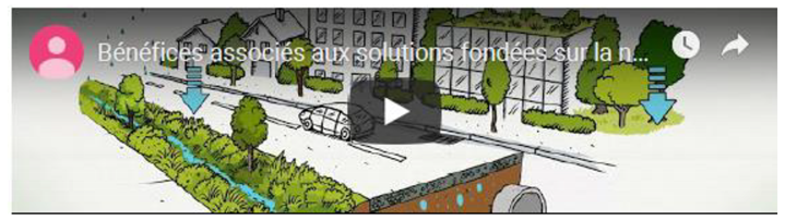 Sustainability 13 00587 i002