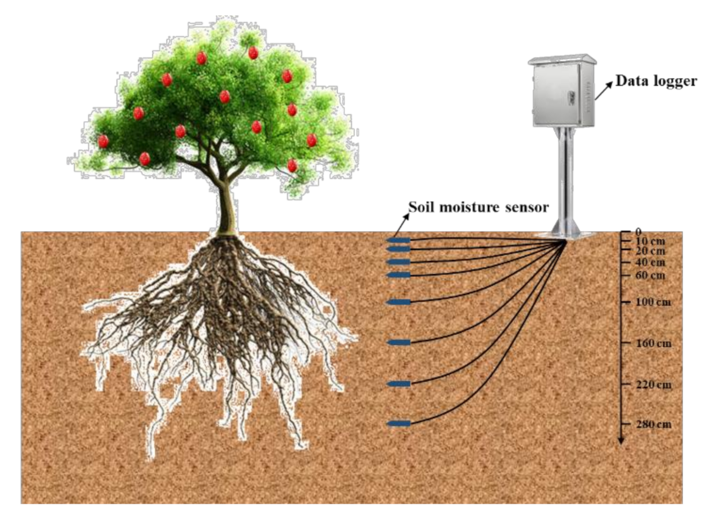 Sustainability 13 00610 g003 Sustainability 13 00610 g003