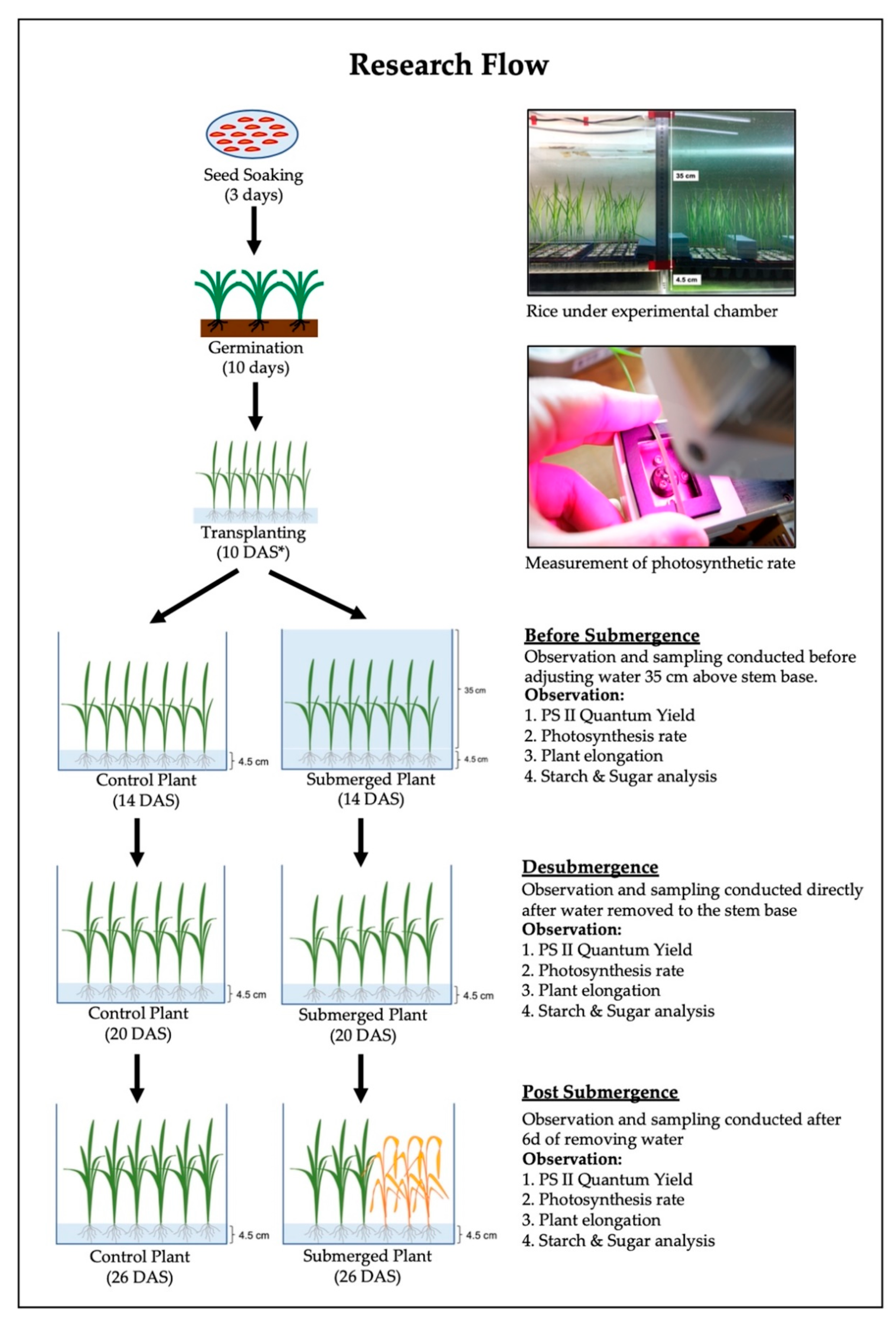 Sustainability 13 00670 g001 Sustainability 13 00670 g001