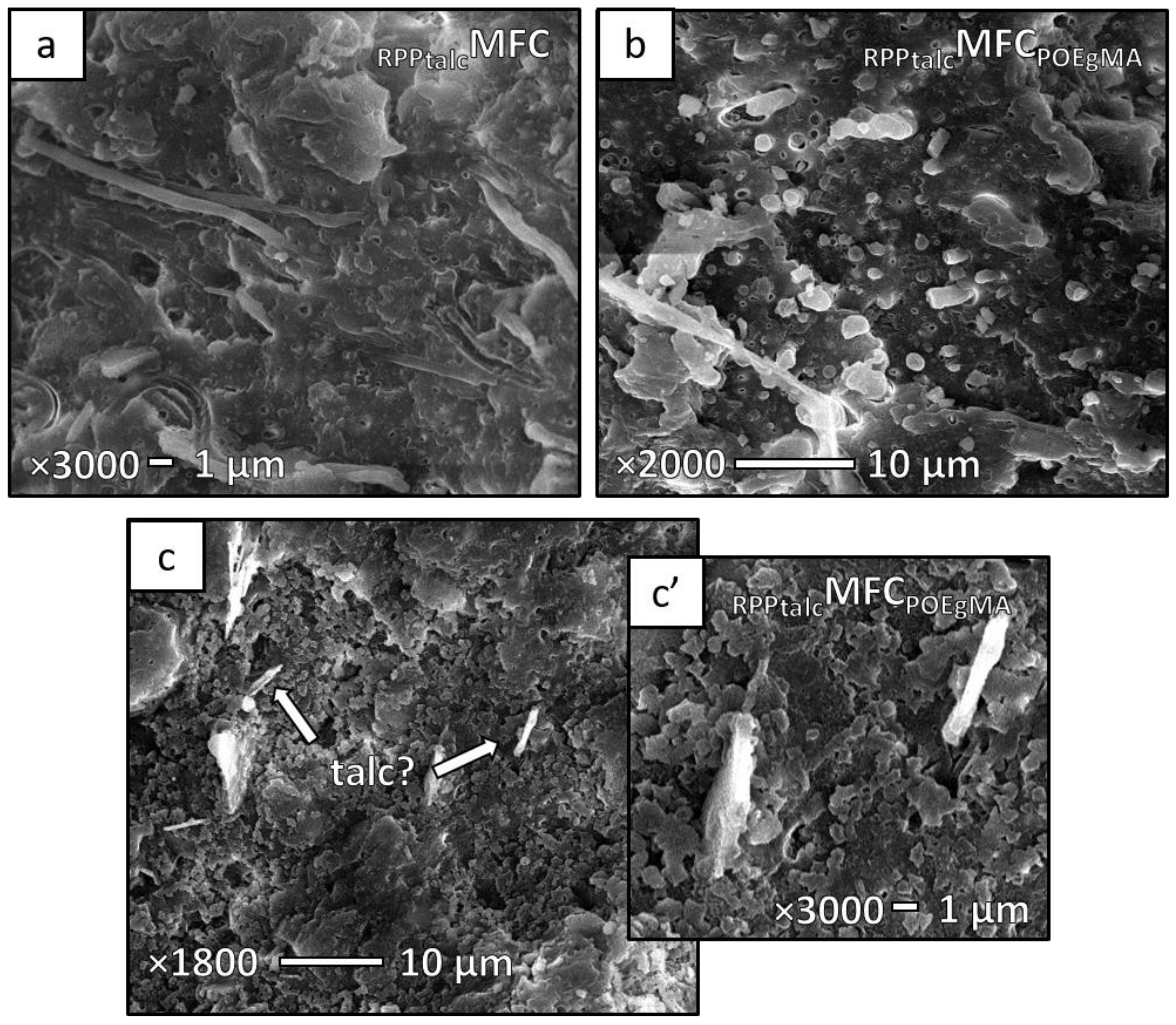 Sustainability 13 00689 g008 Sustainability 13 00689 g008
