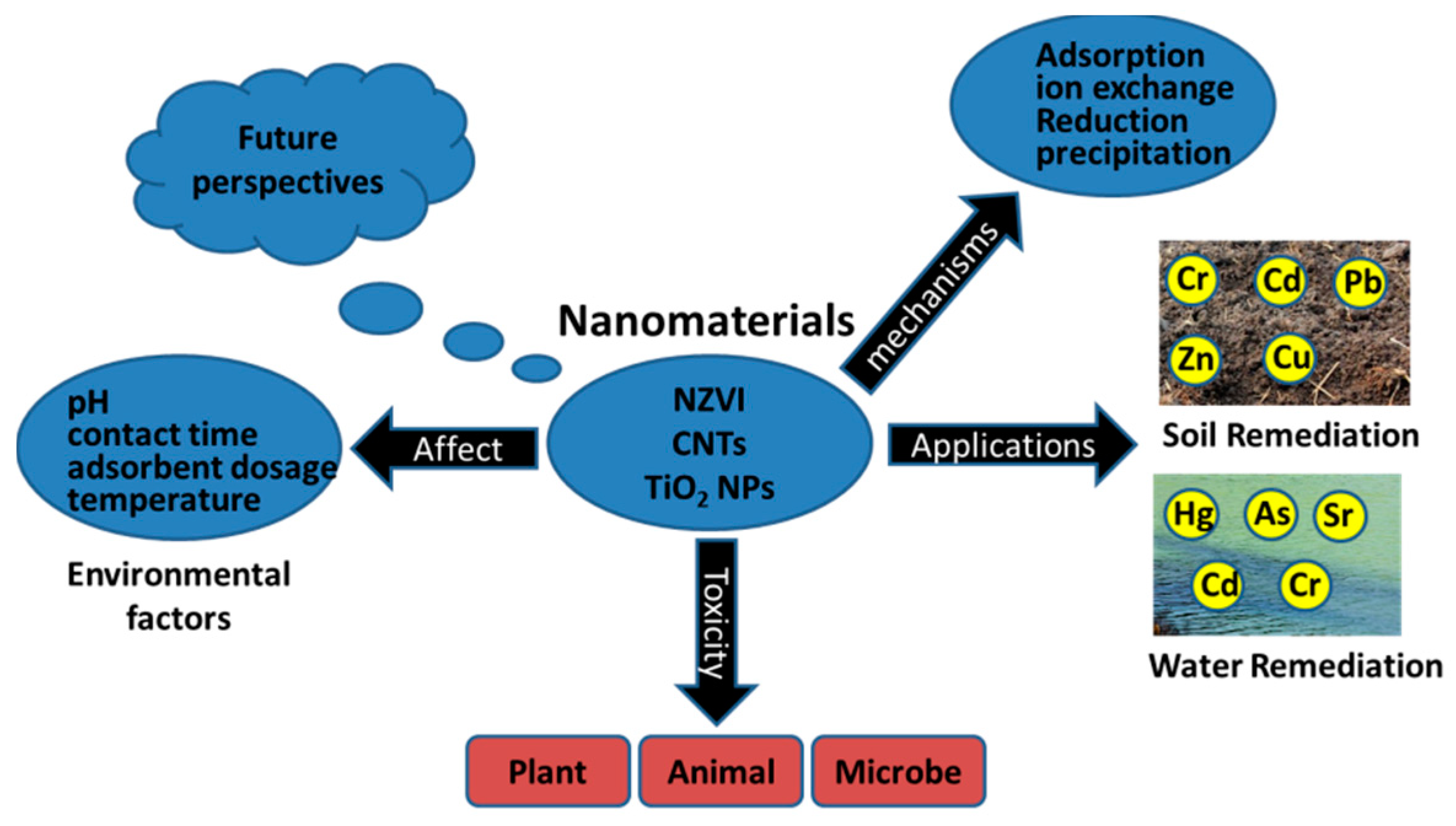 Sustainability 13 00713 g005