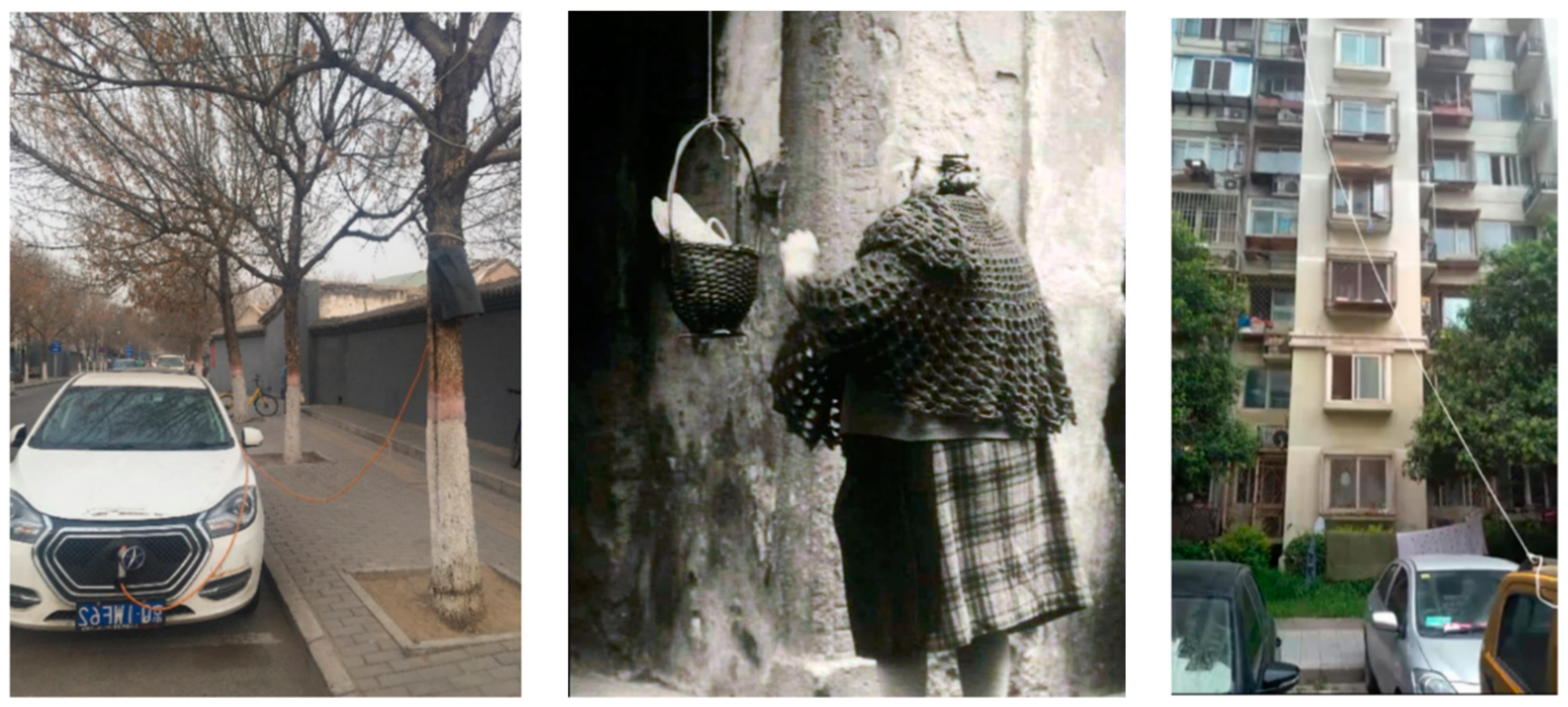 Sustainability 13 00719 g006