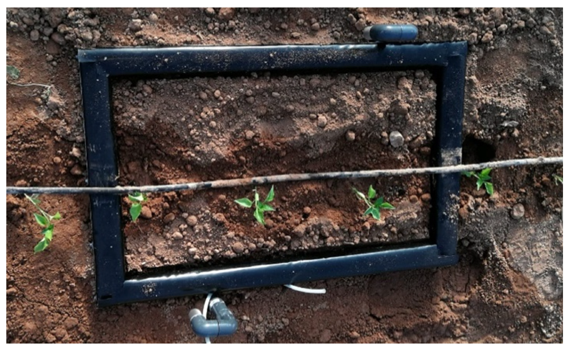 Sustainability 13 00747 g002 Sustainability 13 00747 g002