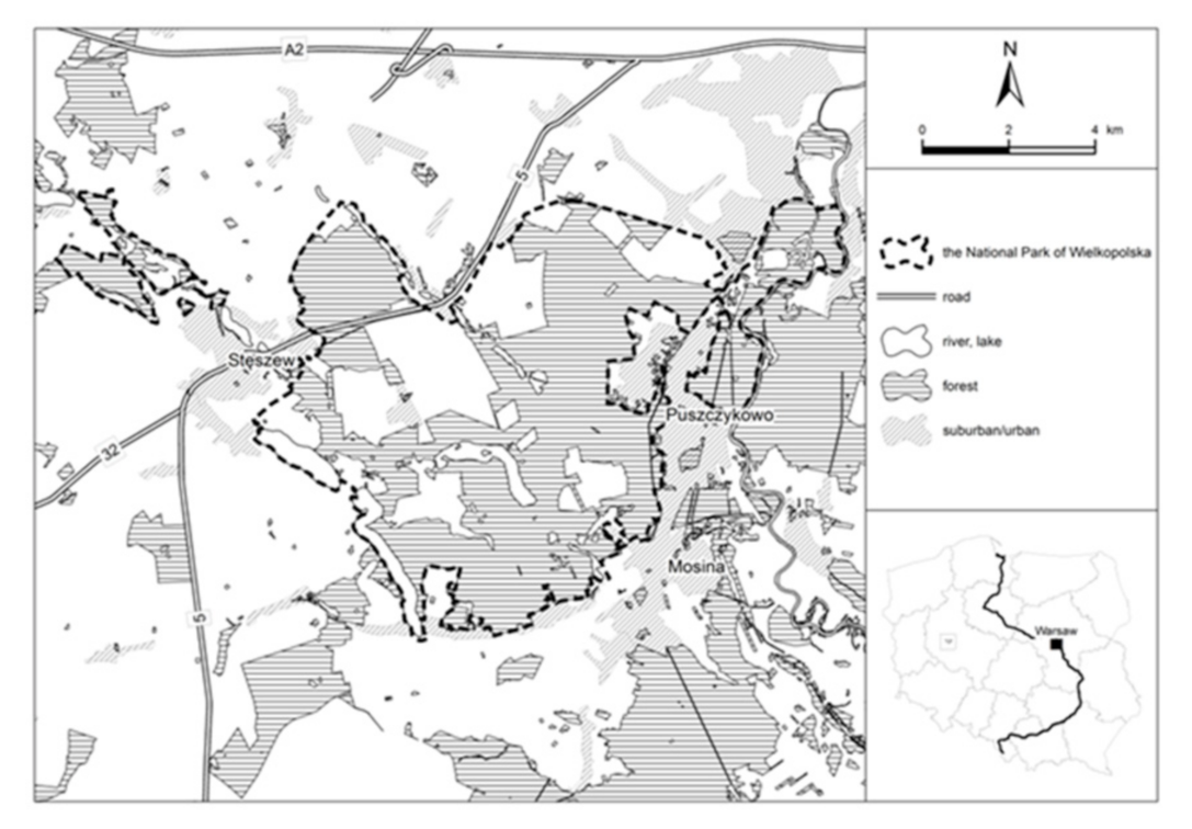 Sustainability 13 00765 g001