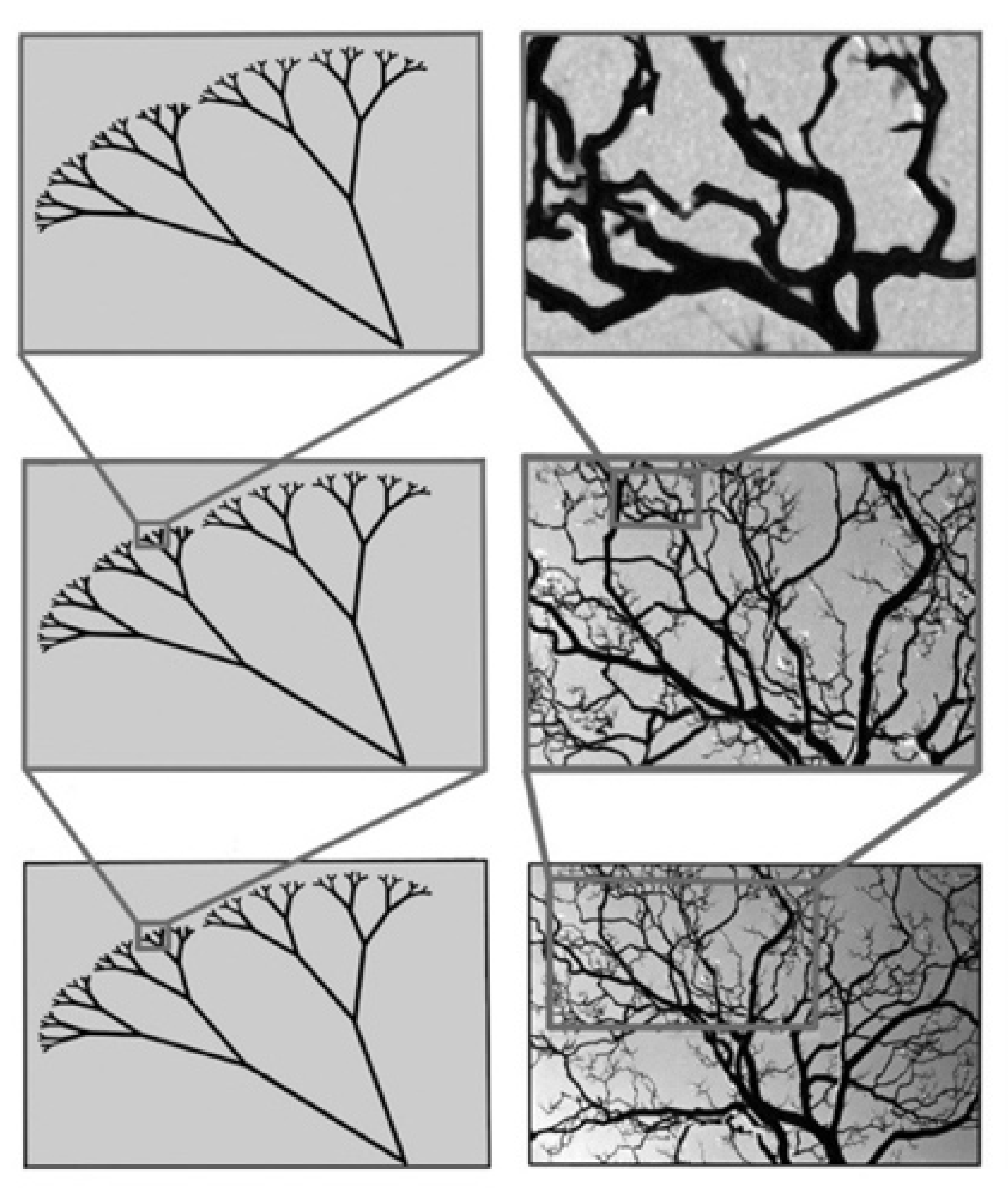 Fractal Art: A 101 Design Intro