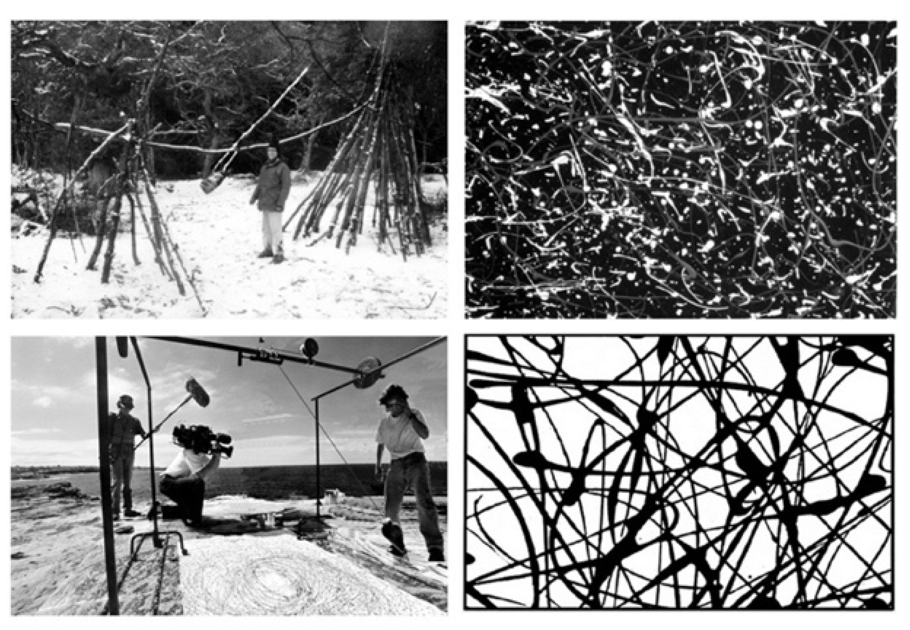 Sustainability 13 00823 g010