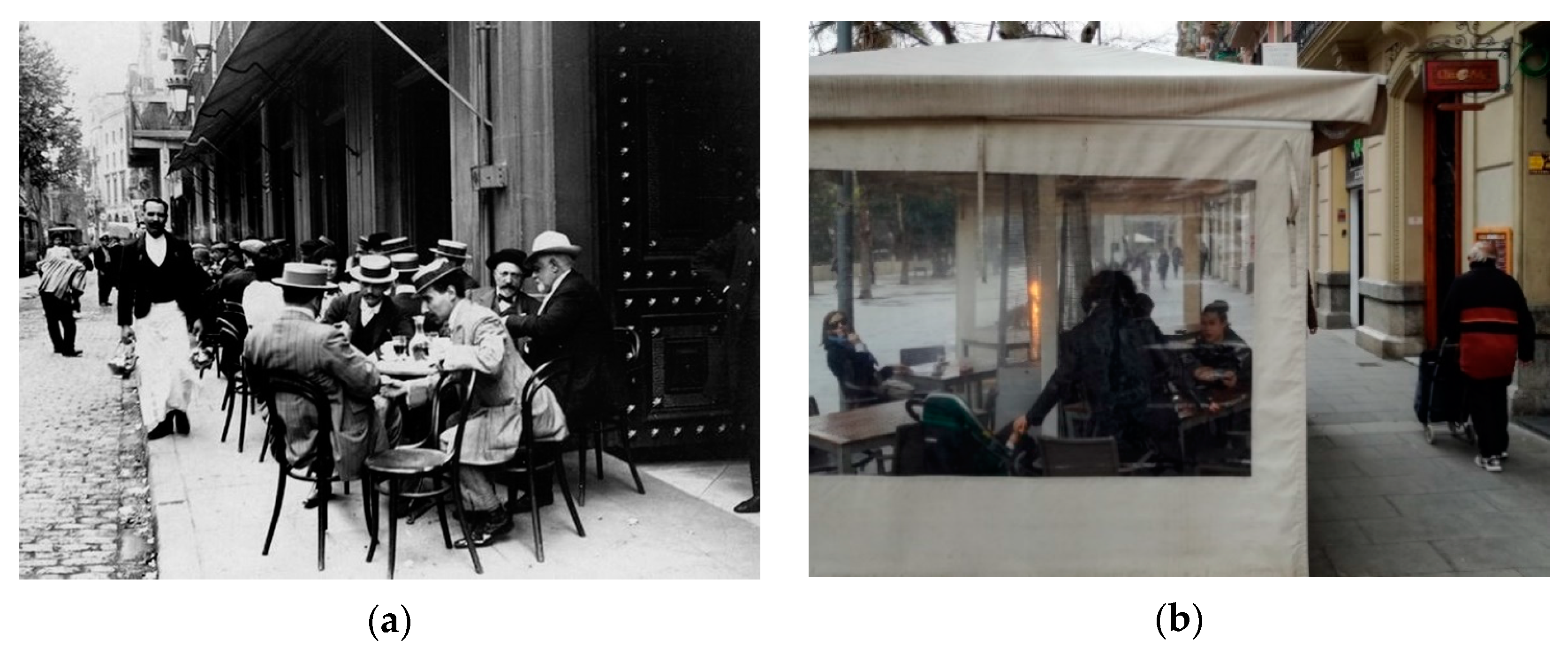 Sustainability 13 00865 g002 Sustainability 13 00865 g002