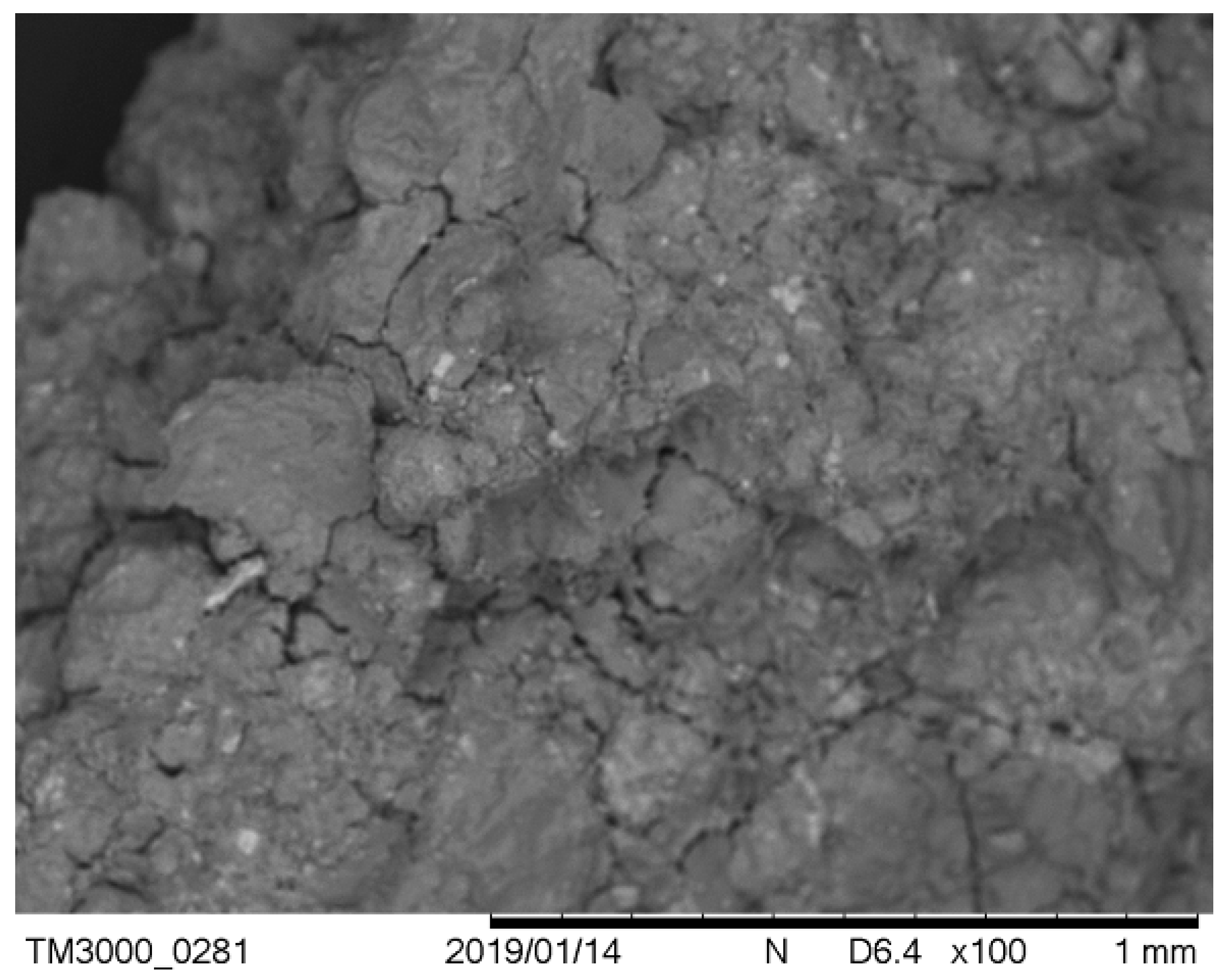 Sustainability 13 00911 g010