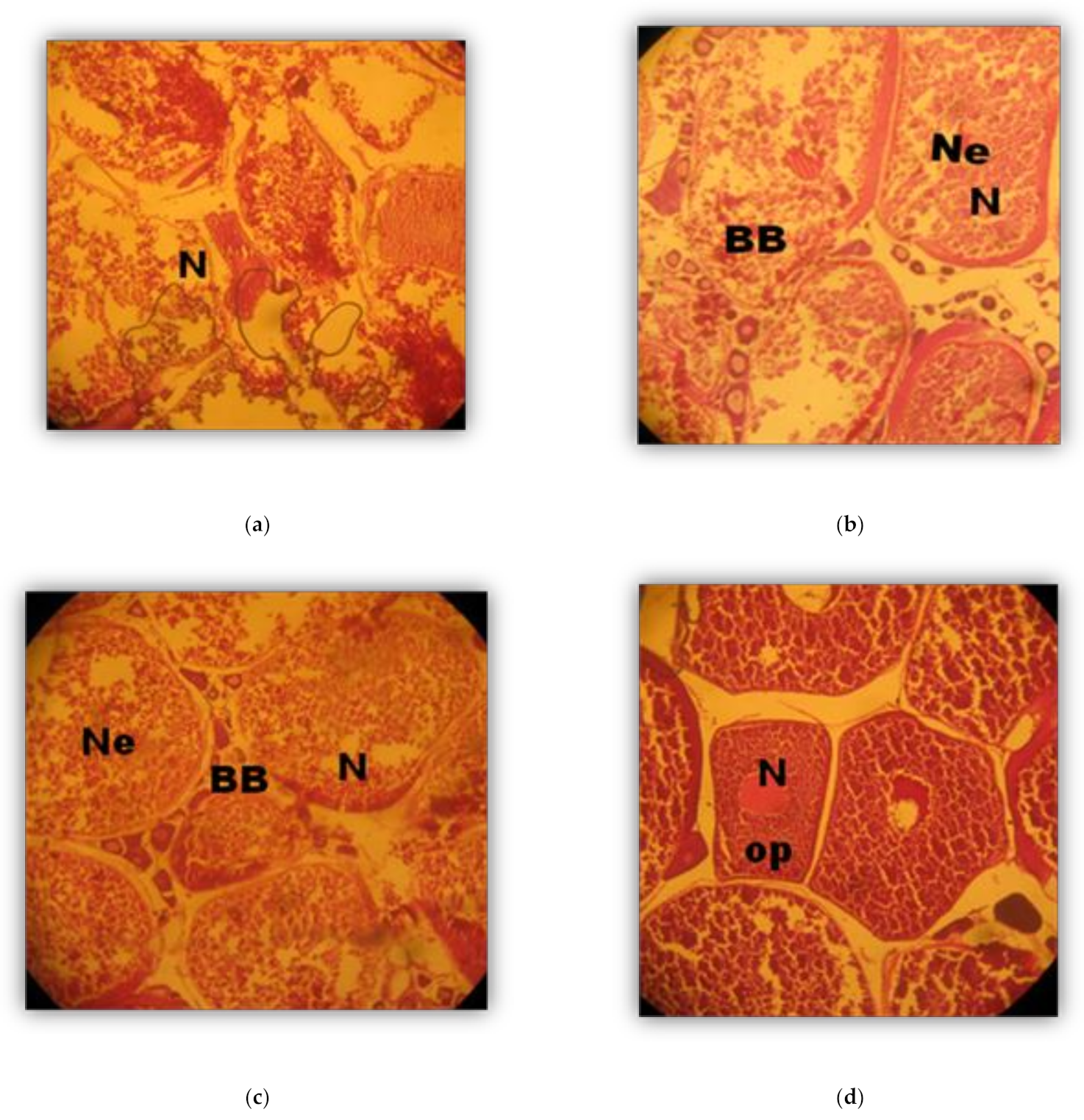 Sustainability 13 00921 g001 Sustainability 13 00921 g001