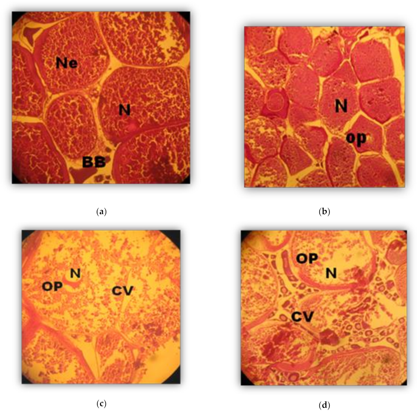 Sustainability 13 00921 g002 Sustainability 13 00921 g002