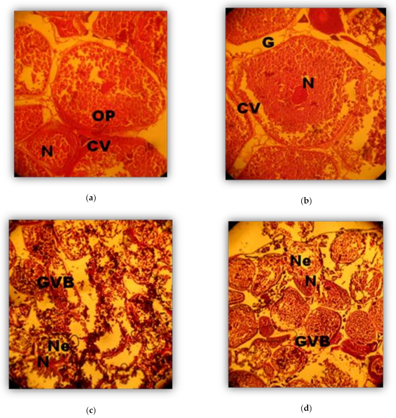 Sustainability 13 00921 g003 Sustainability 13 00921 g003