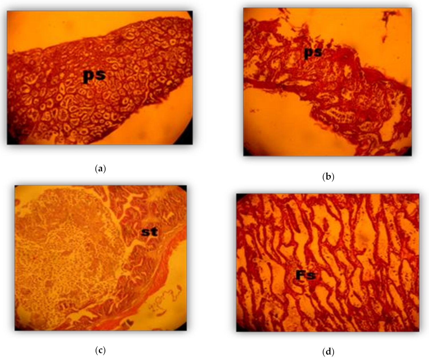 Sustainability 13 00921 g005 Sustainability 13 00921 g005
