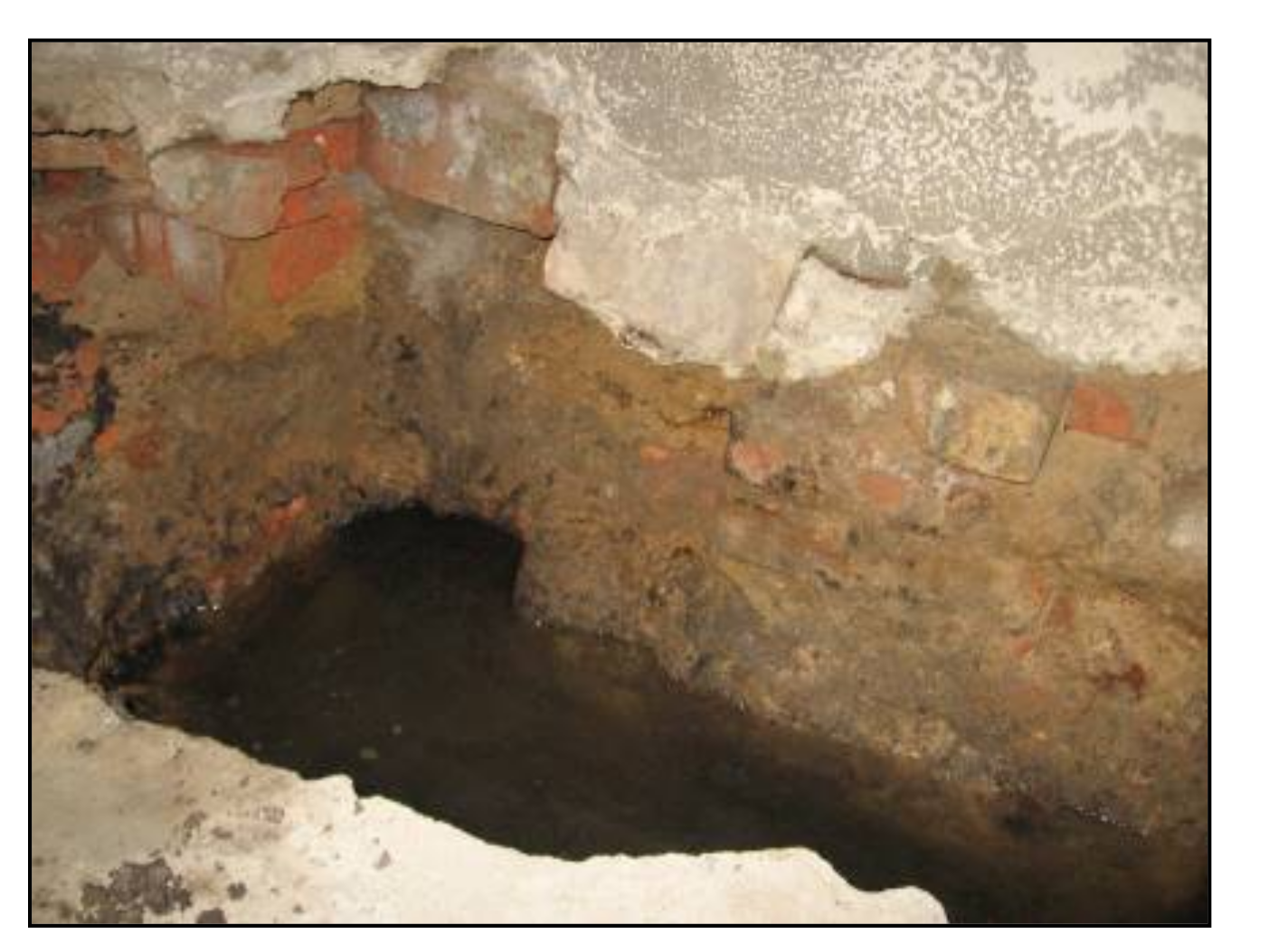 Sustainability 13 00929 g0a3