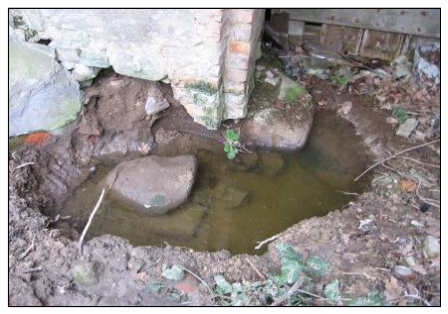 Sustainability 13 00929 g0a4