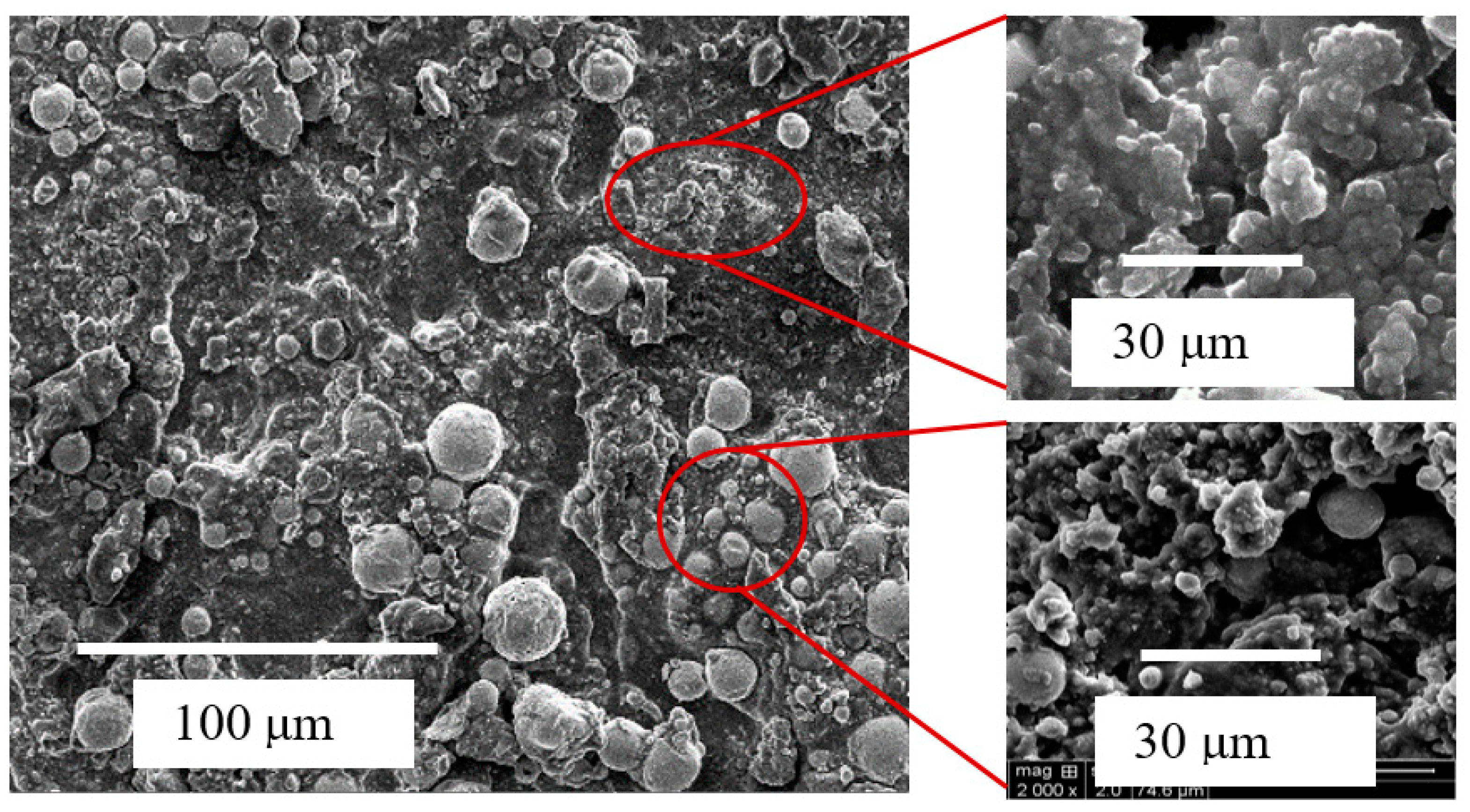 Sustainability 13 00950 g007