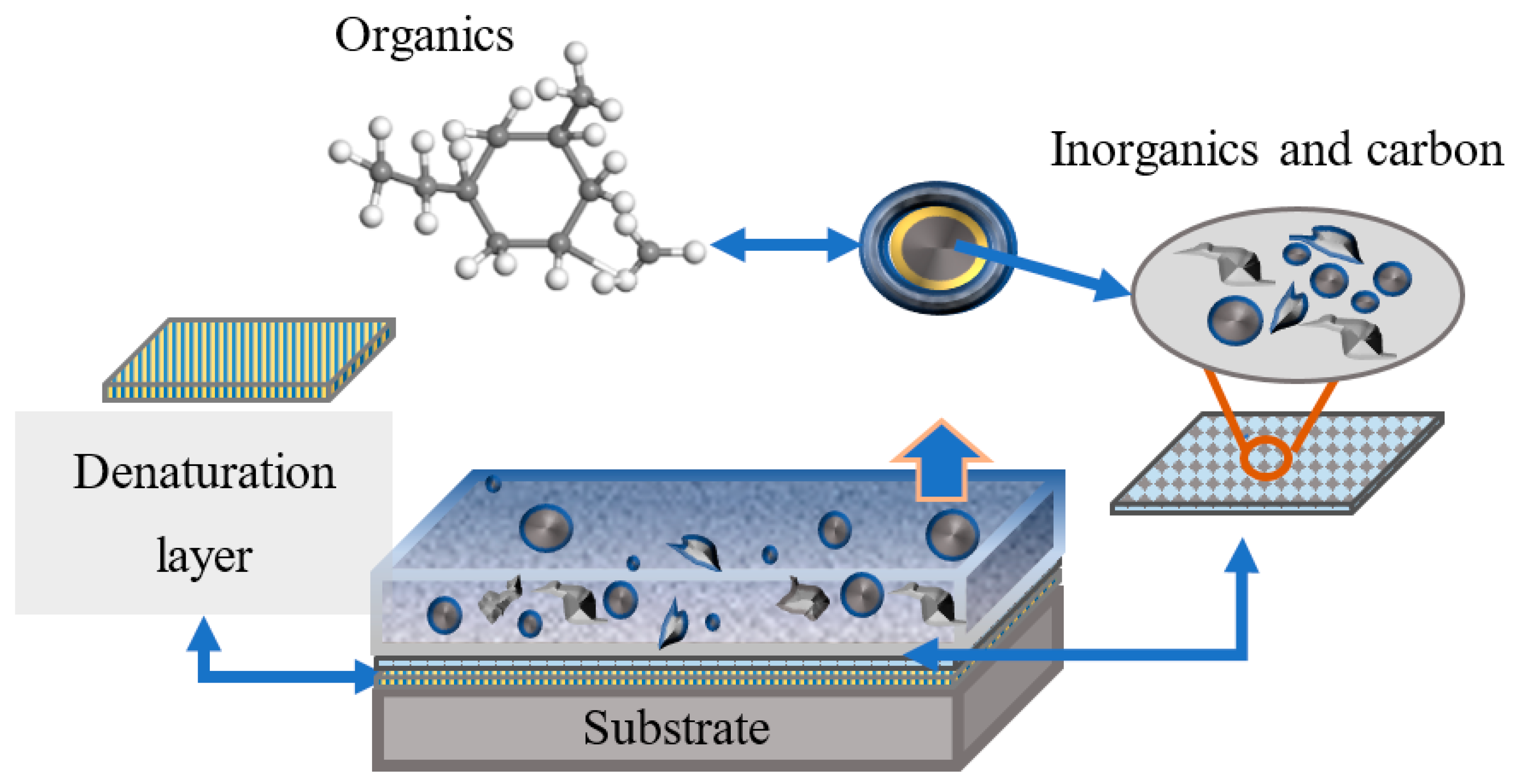 Sustainability 13 00950 g008