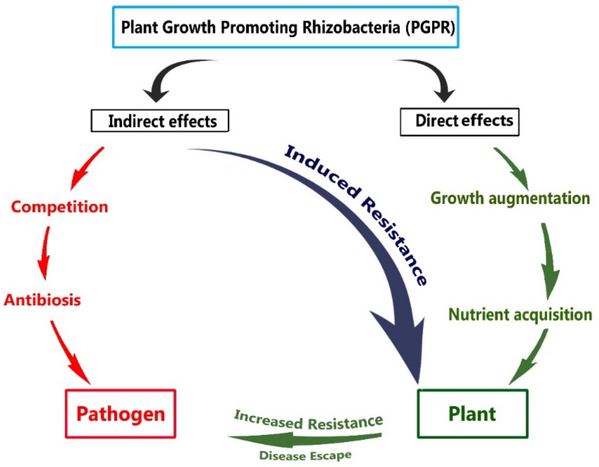 Sustainability 13 01140 g001