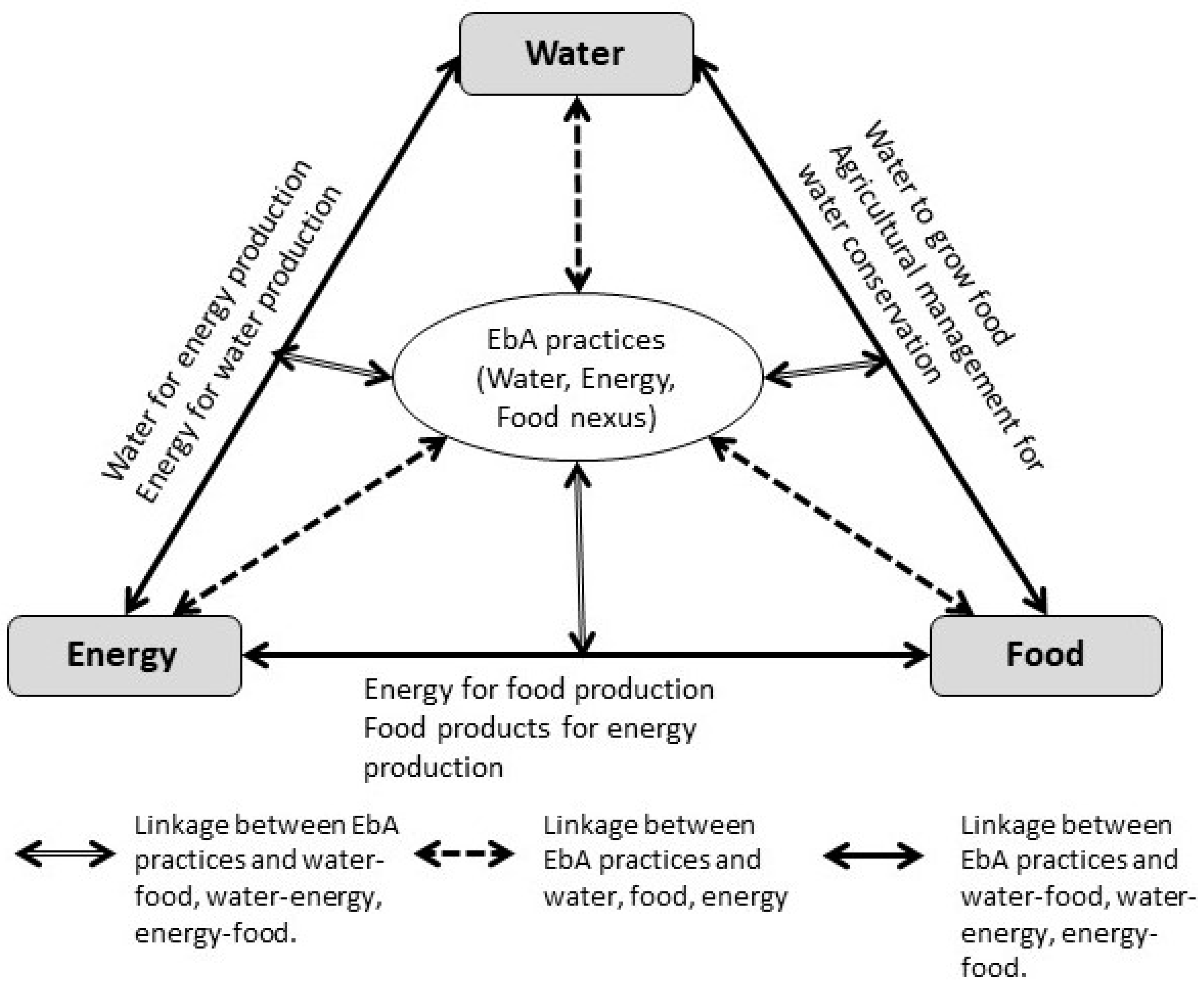 Eco-Sense  Regenerative Design: Water, Food, Energy, Lifestyle