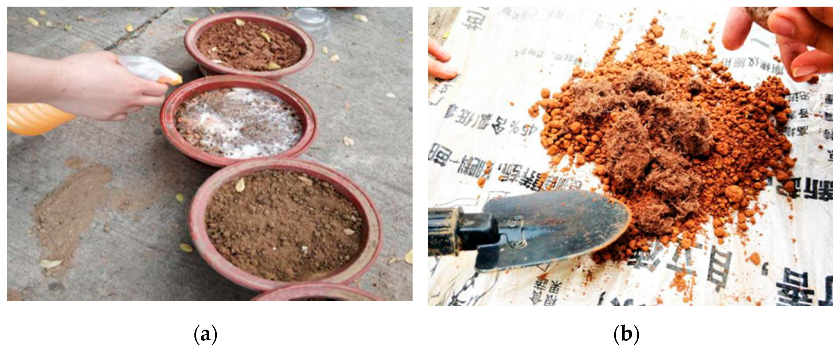 Sustainability 13 01144 g005 Sustainability 13 01144 g005