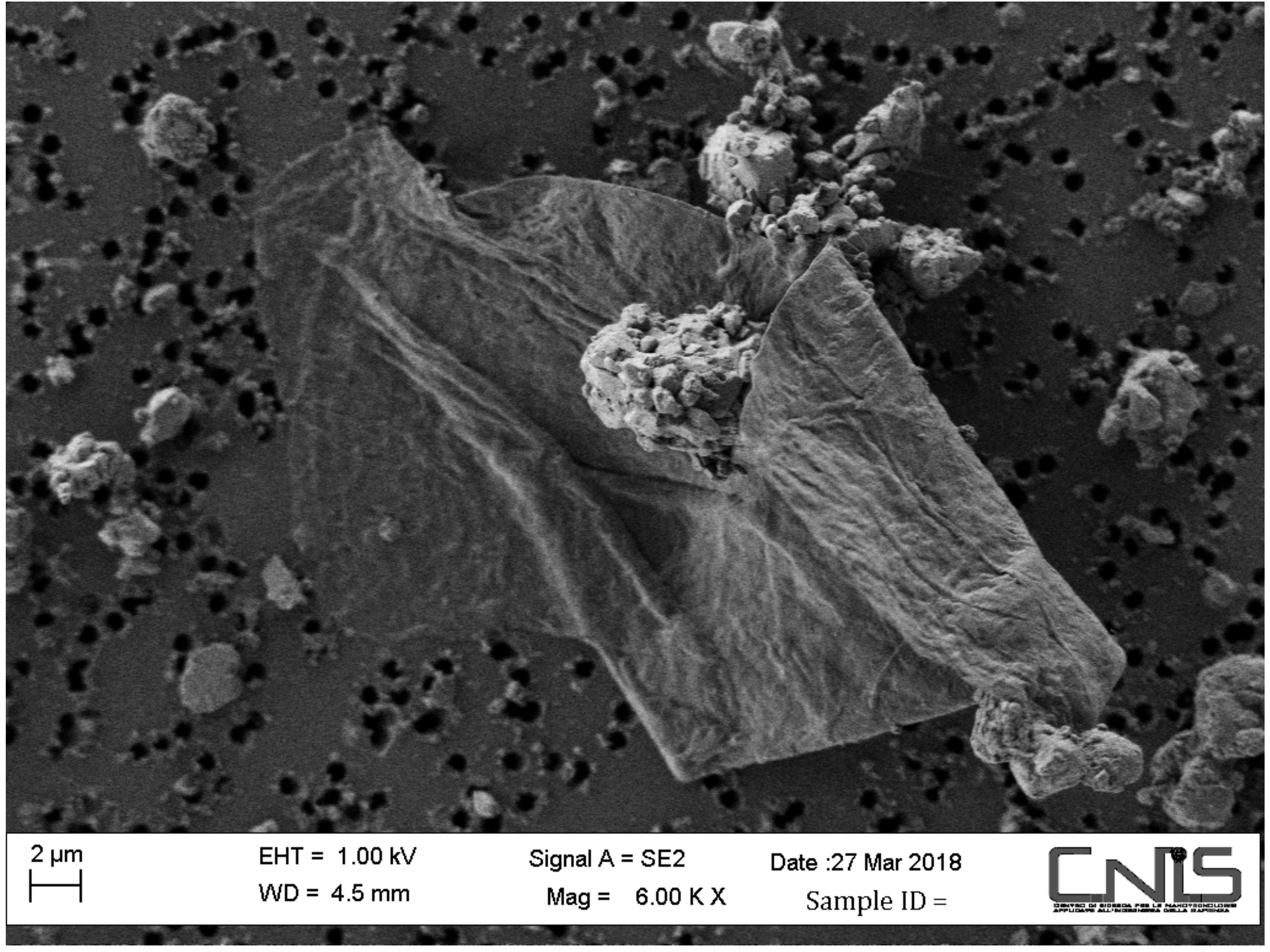 Sustainability 13 01149 g002