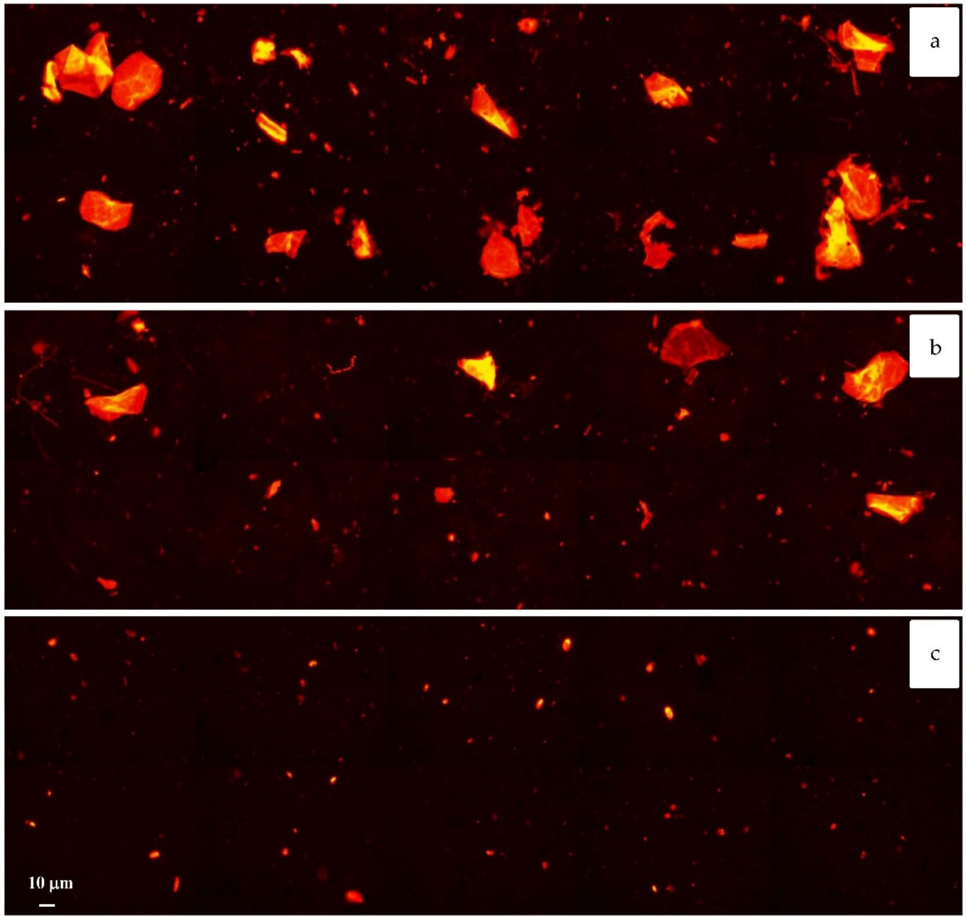 Sustainability 13 01149 g005