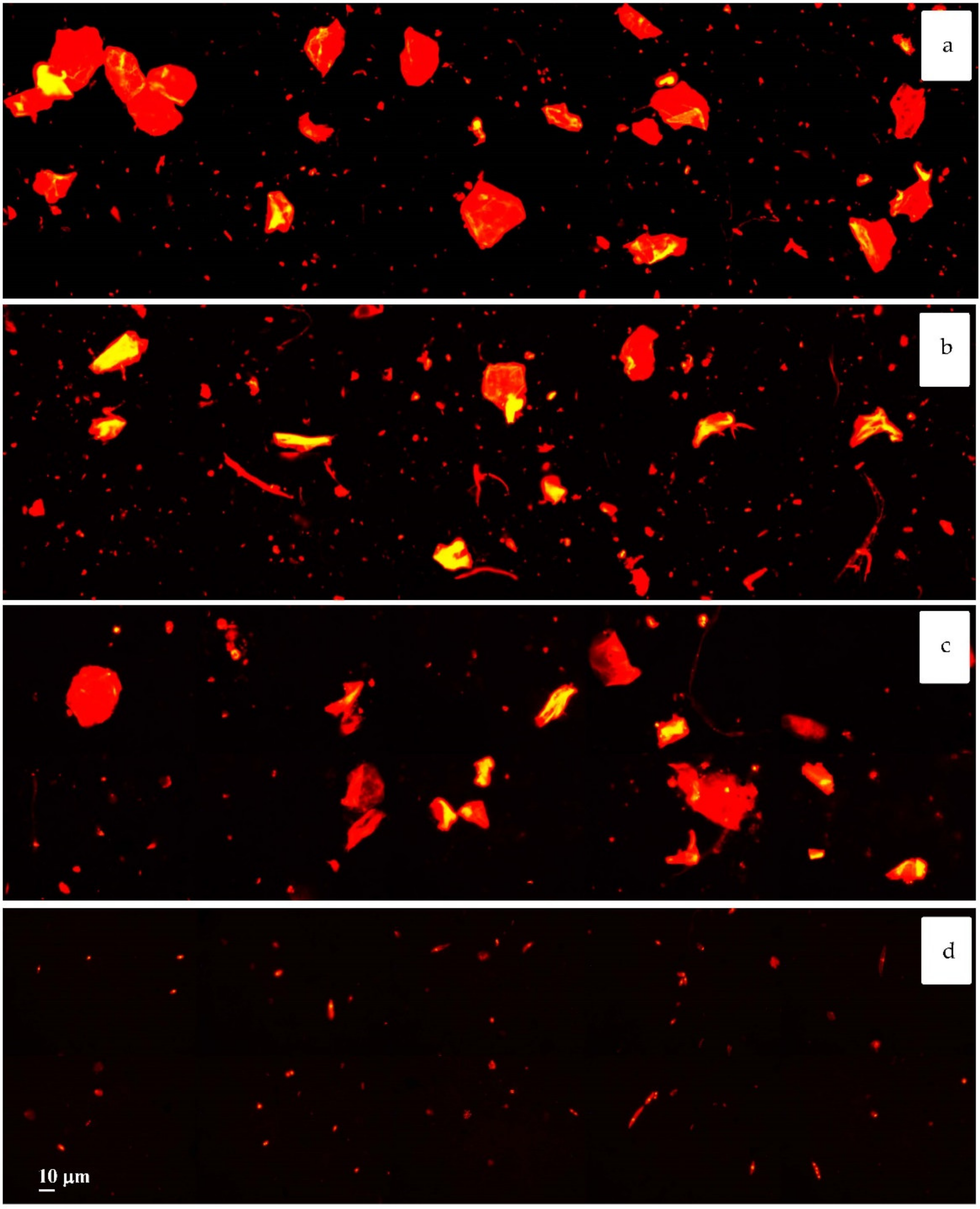 Sustainability 13 01149 g006