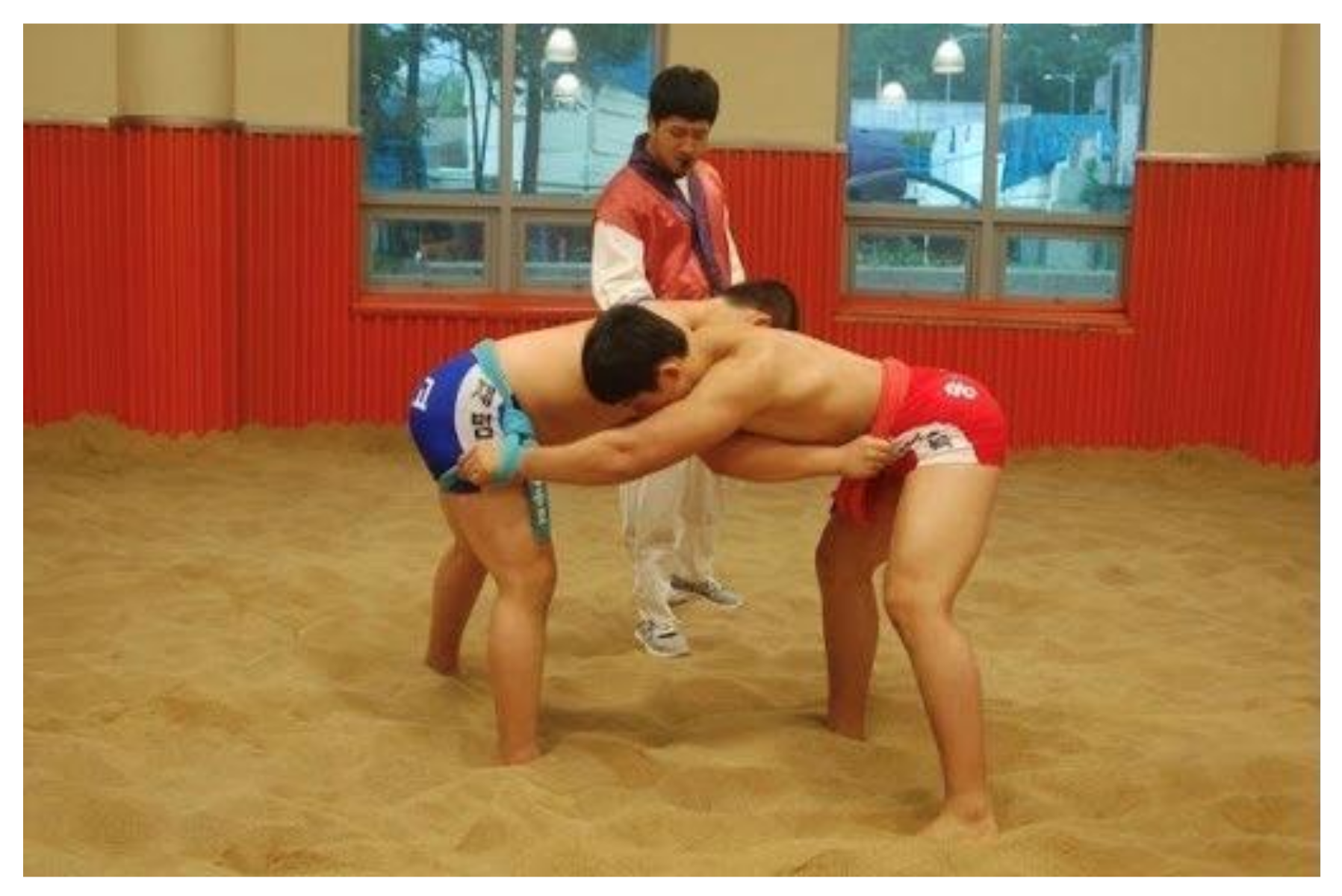 Sustainability 13 01154 g001