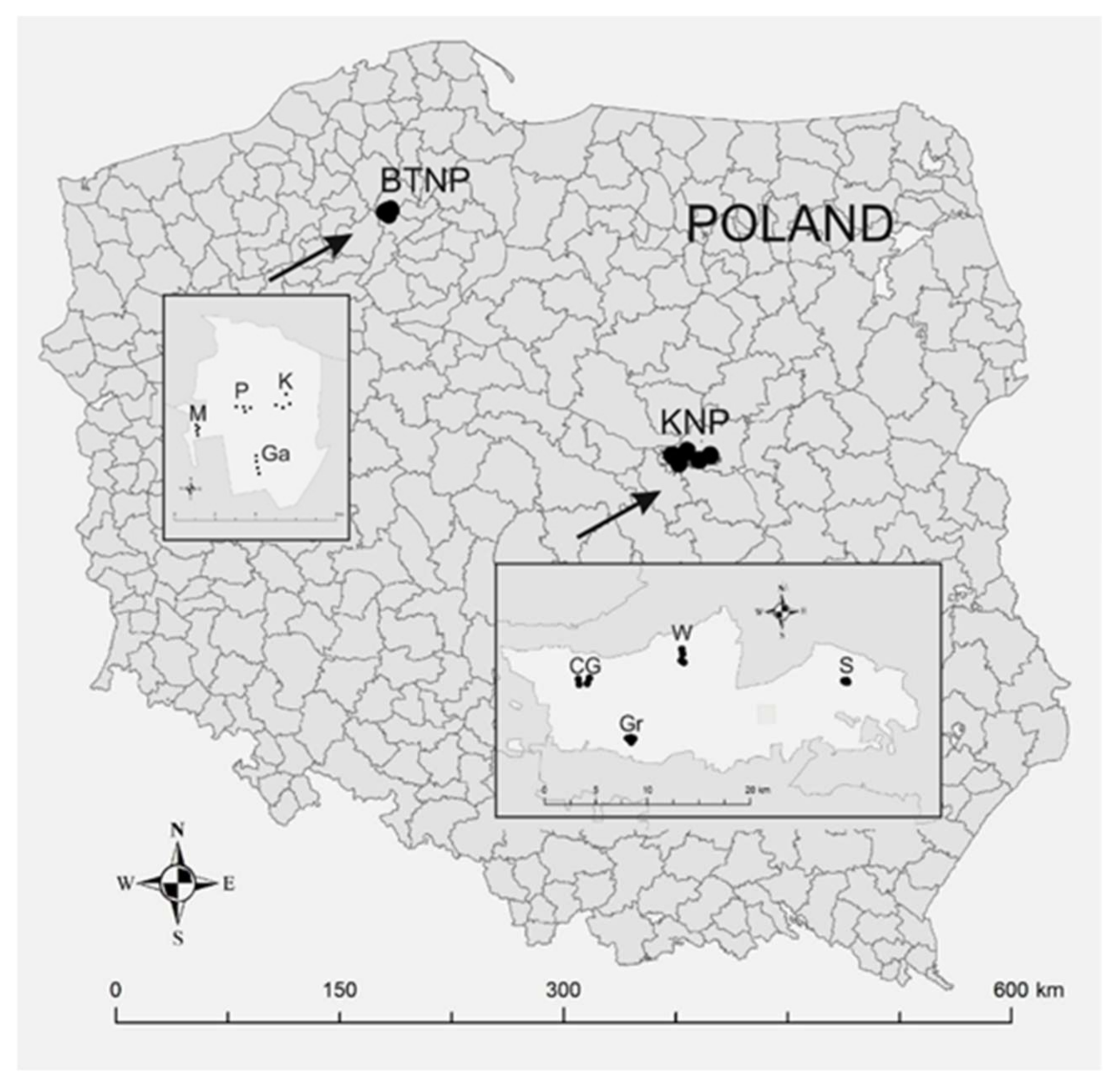 Sustainability 13 01239 g001 Sustainability 13 01239 g001