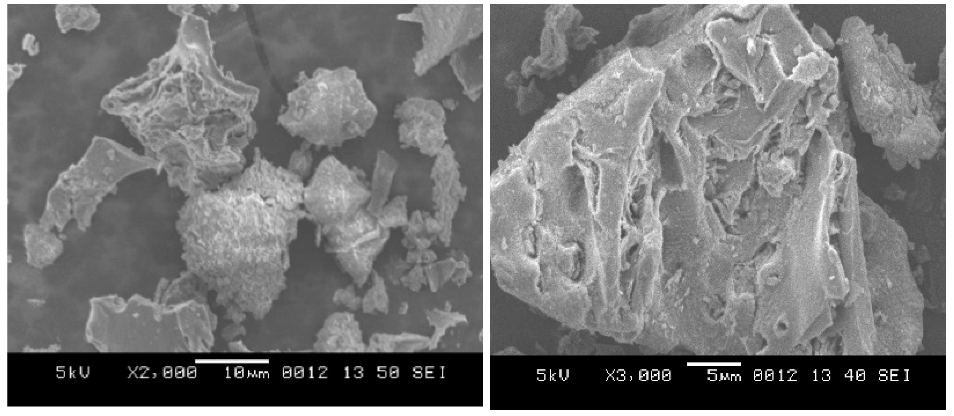 Sustainability 13 01247 g009