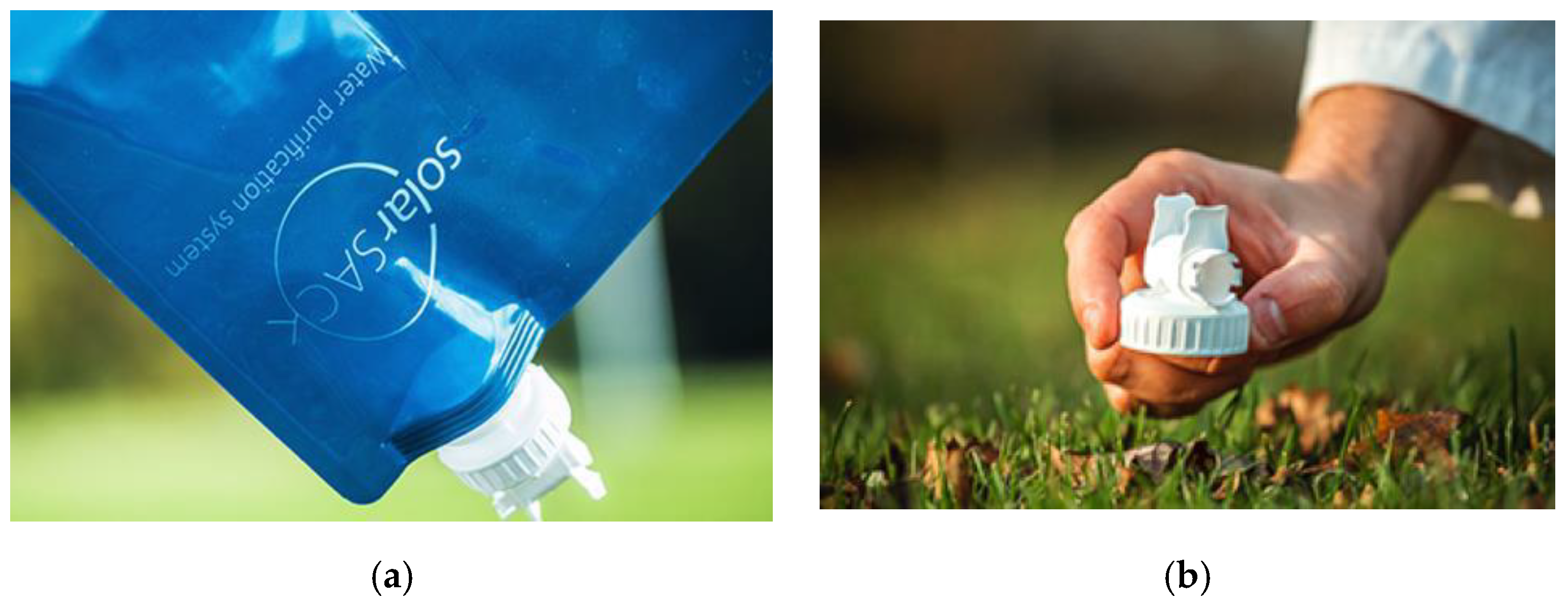 Sustainability 13 01313 g005