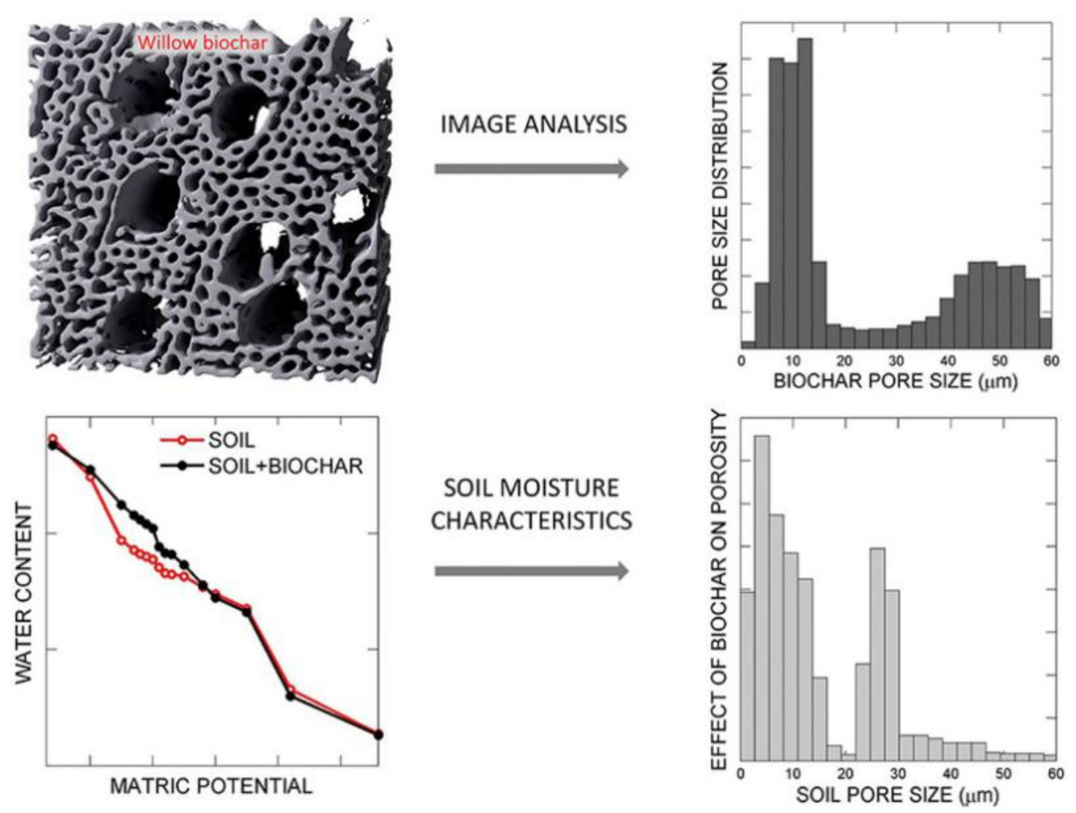 Sustainability 13 01330 g002