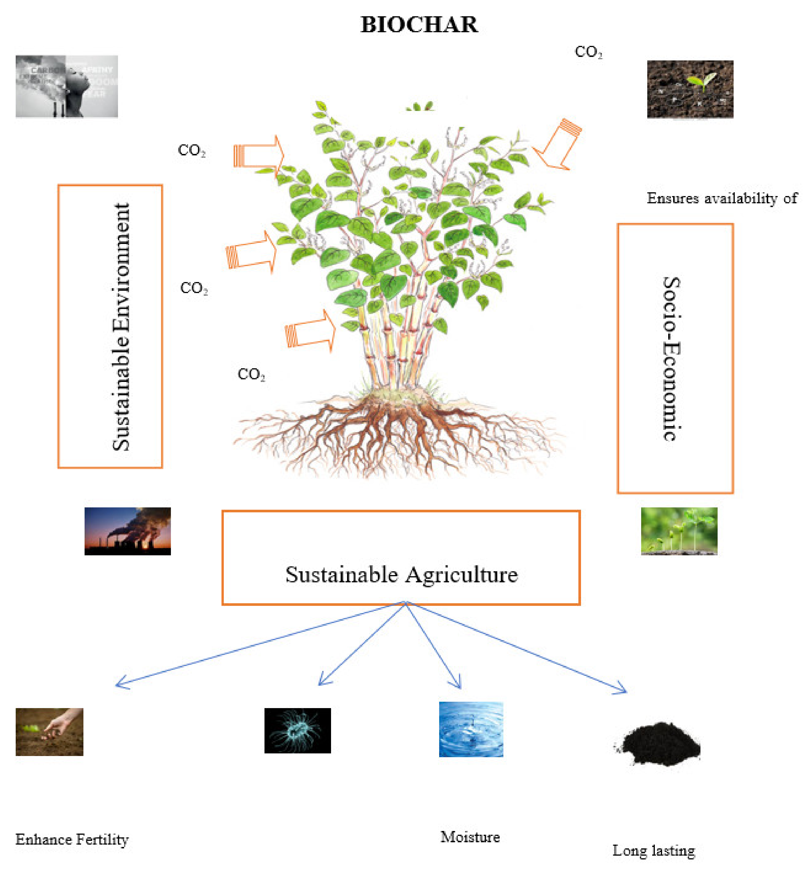 Sustainability 13 01330 g004