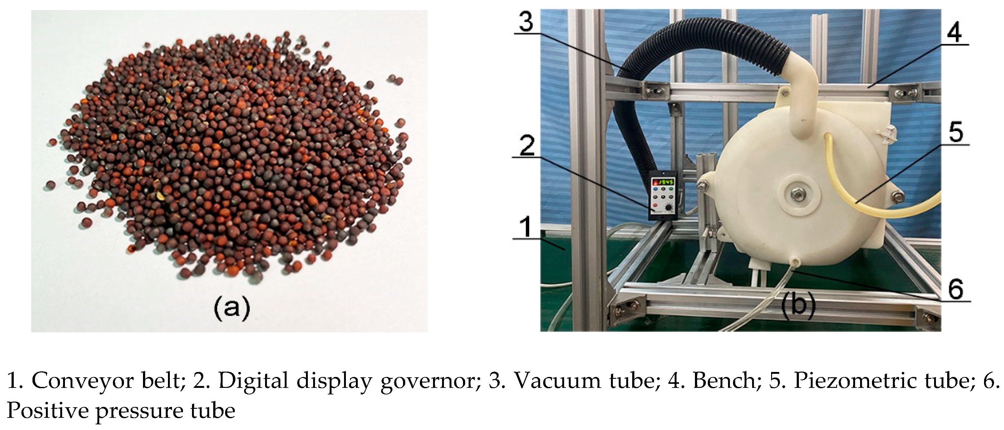 Sustainability 13 01374 g006