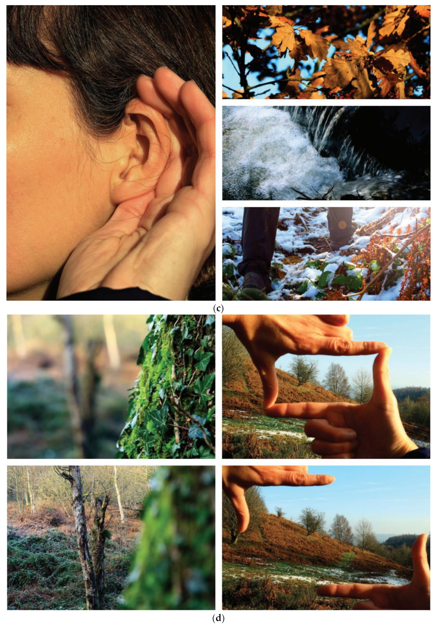 Sustainability 13 01380 g001b