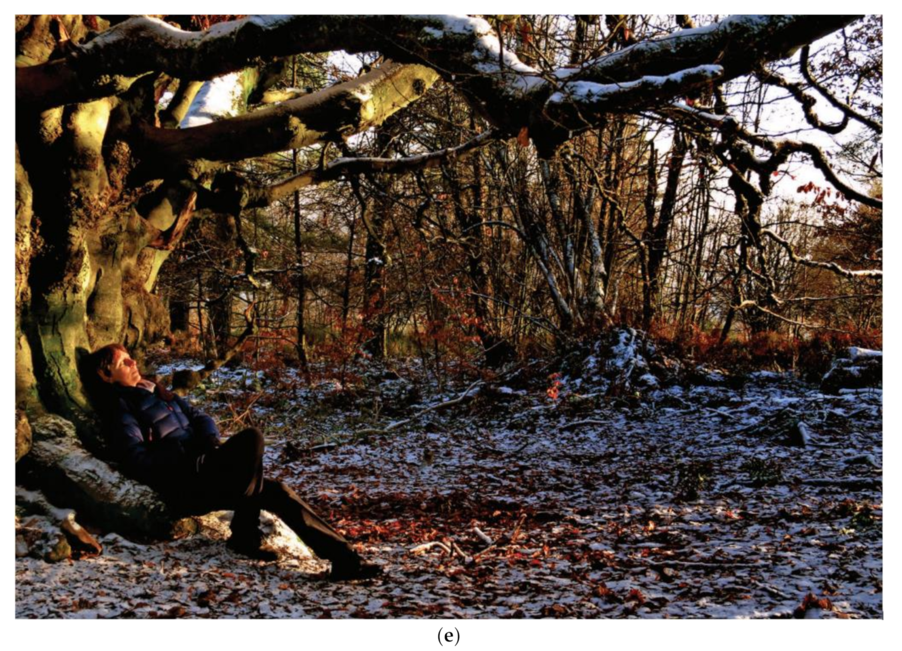 Sustainability 13 01380 g001c