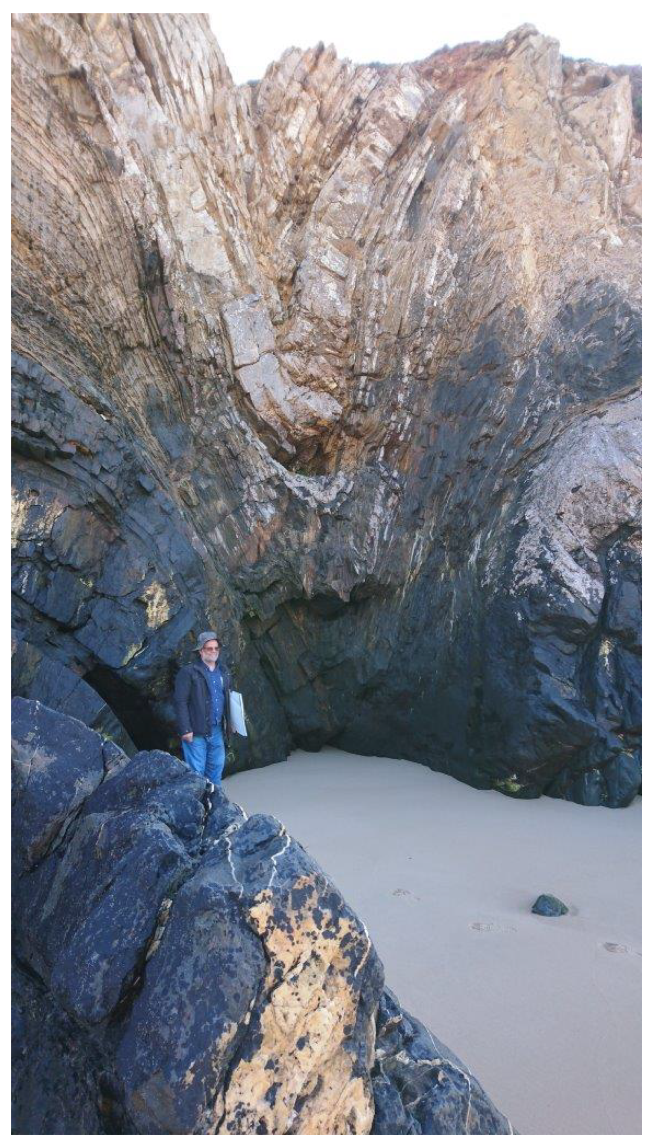 Sustainability 13 01393 g007