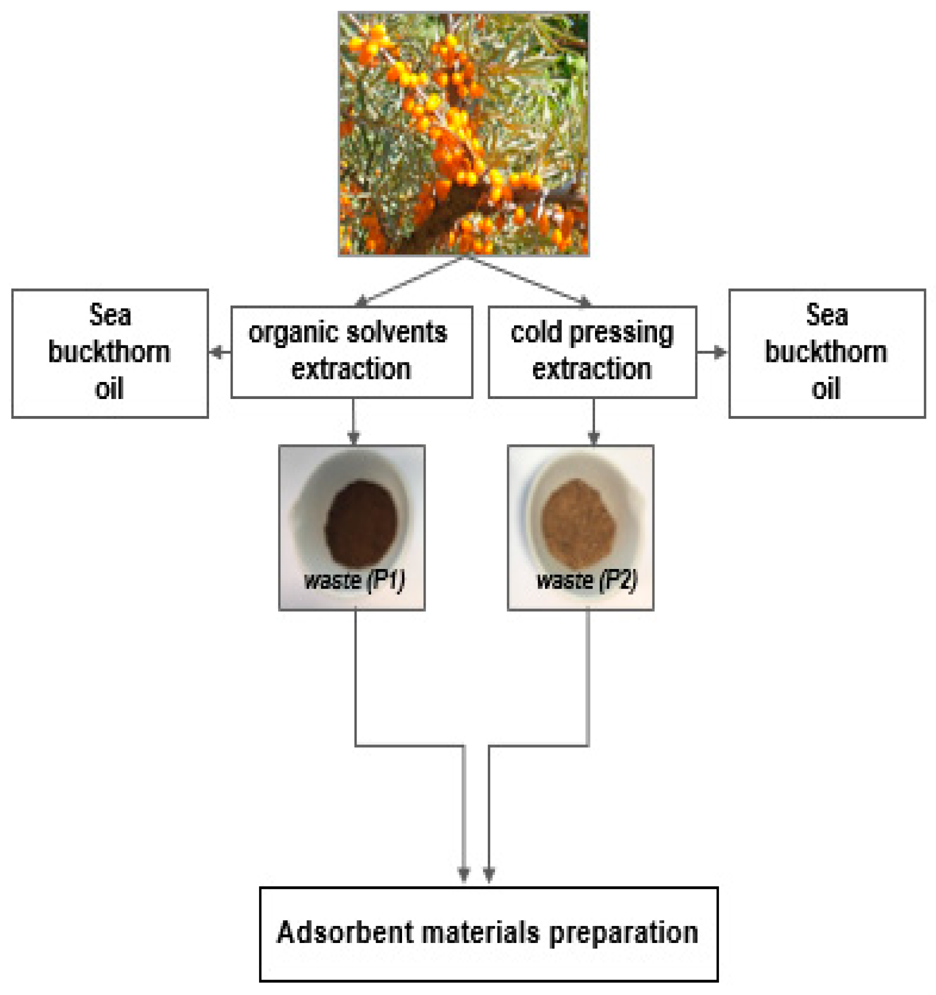 Sustainability 13 01441 g001