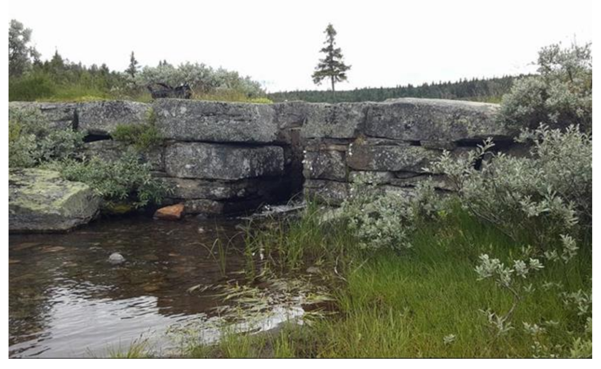 Sustainability 13 01461 g005