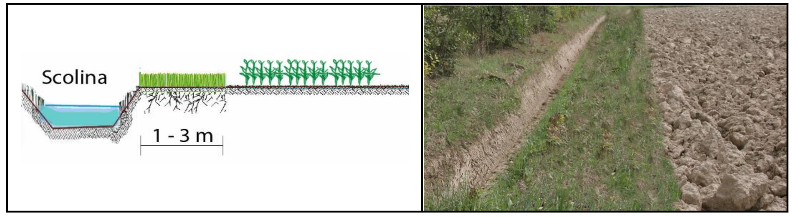 Sustainability 13 01461 g007