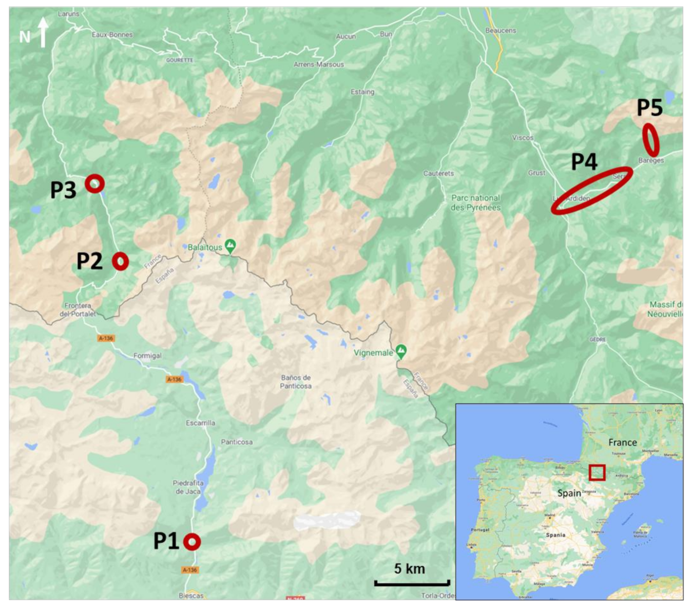 Sustainability 13 01461 g008