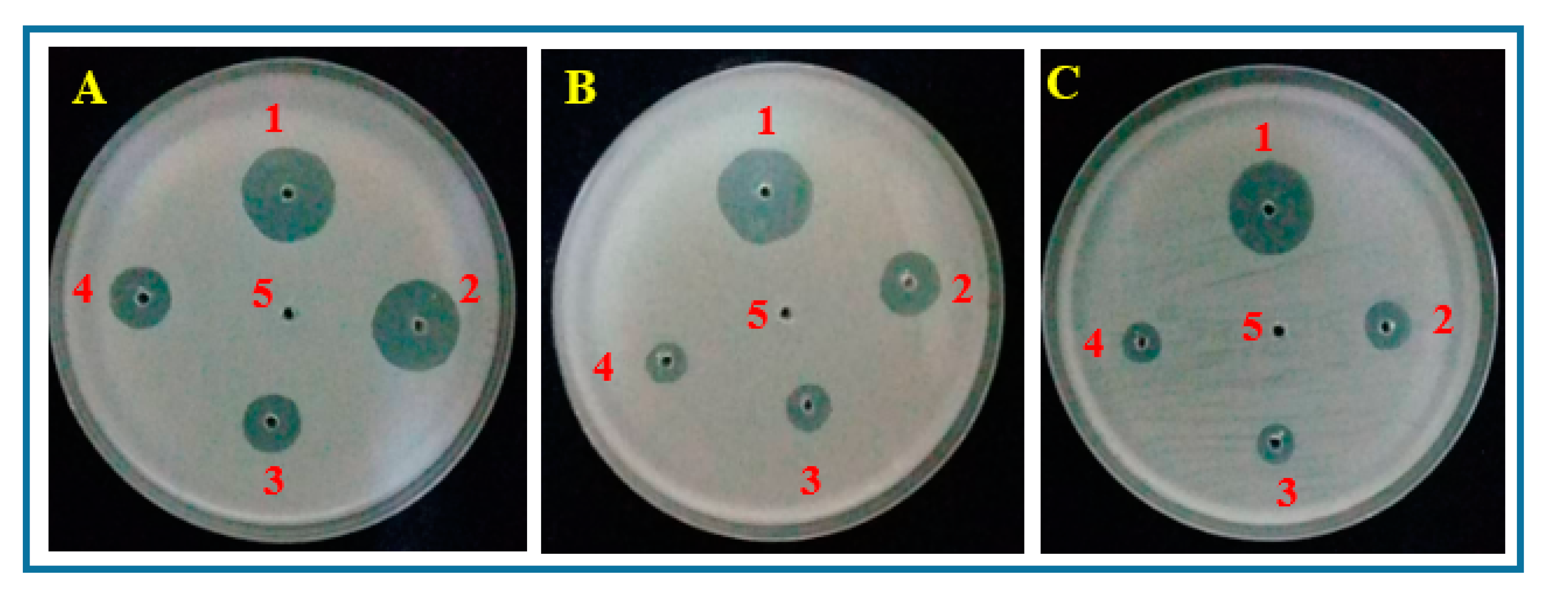 Raj Antibacterial Plastic Cutting Board - Green -Set of 3 – Raj