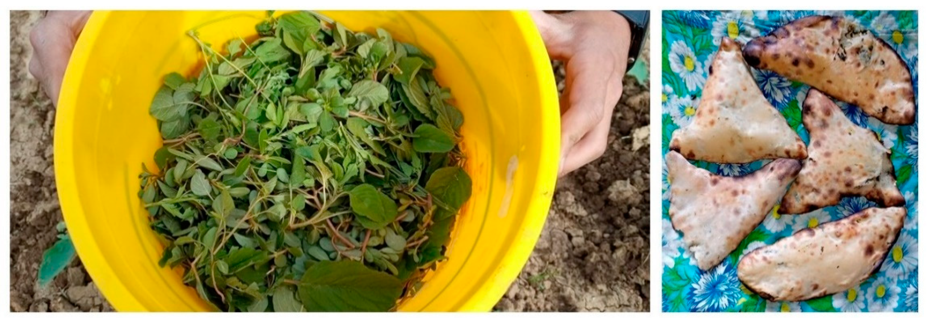 Sustainability 13 01500 g005