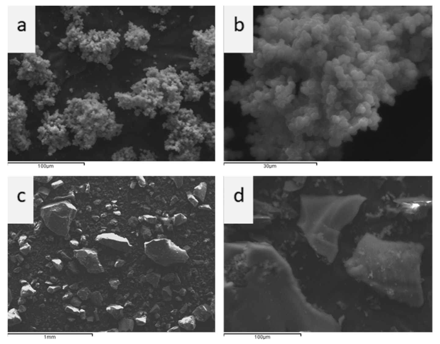 Sustainability 13 01502 g001 Sustainability 13 01502 g001