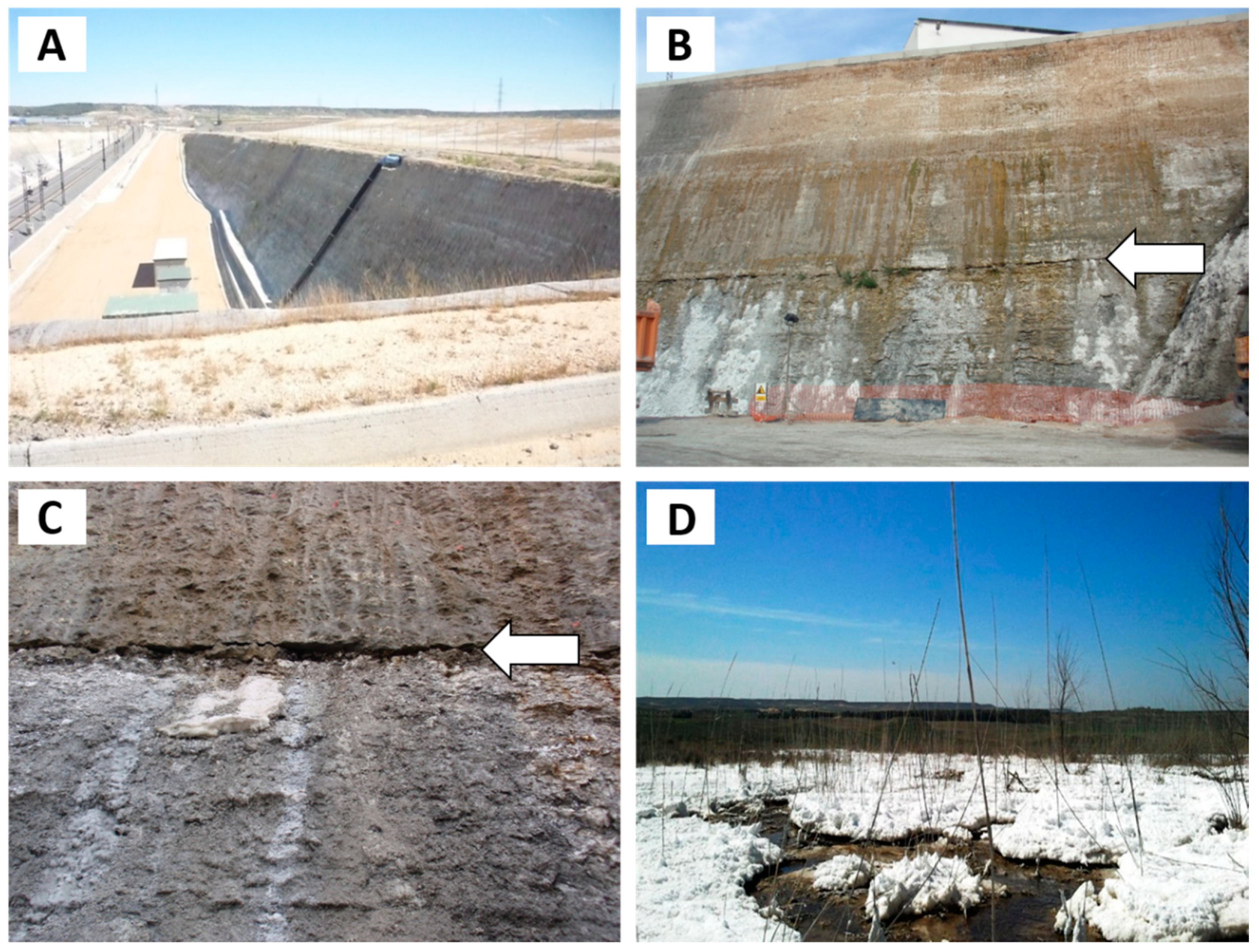 Sustainability 13 01505 g004