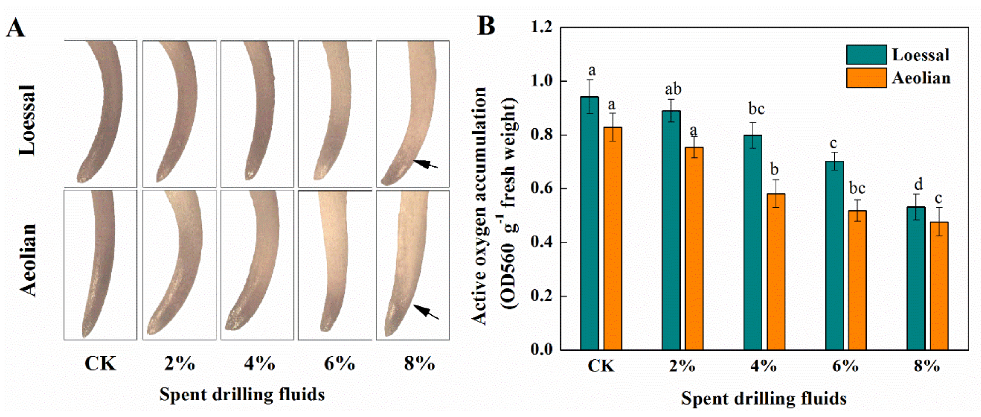 Sustainability 13 01510 g003 Sustainability 13 01510 g003