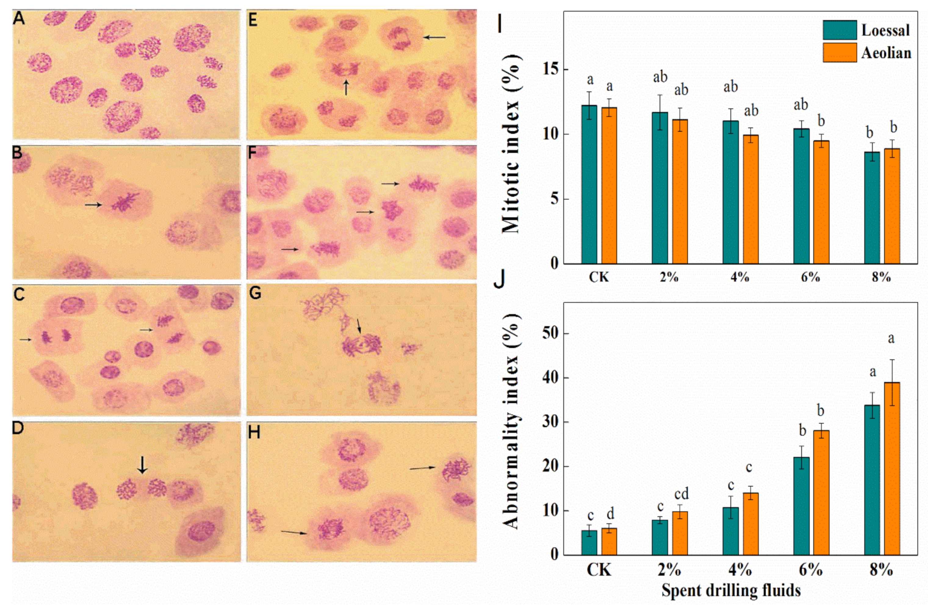 Sustainability 13 01510 g005 Sustainability 13 01510 g005