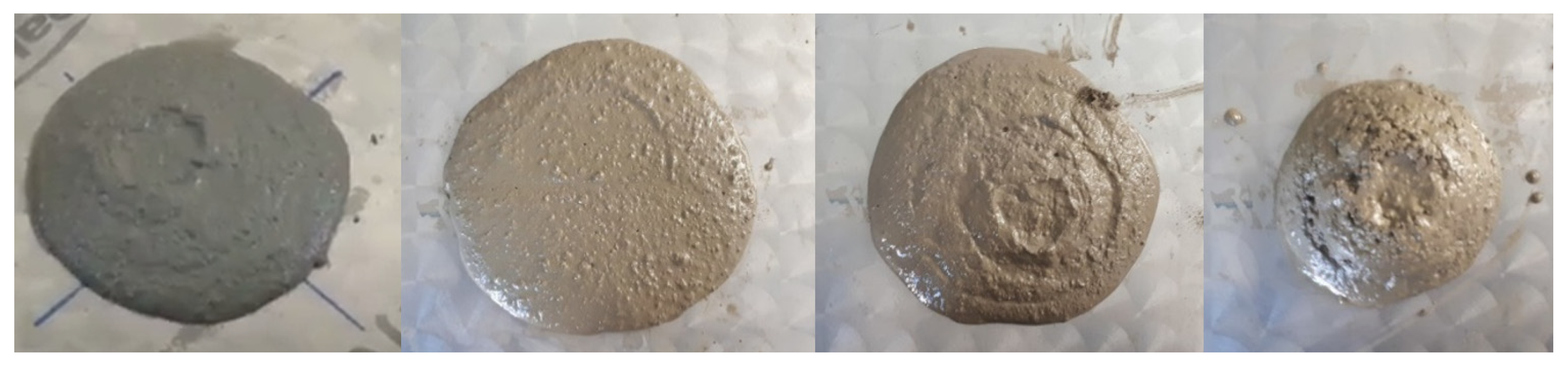 Sustainability 13 01568 g004